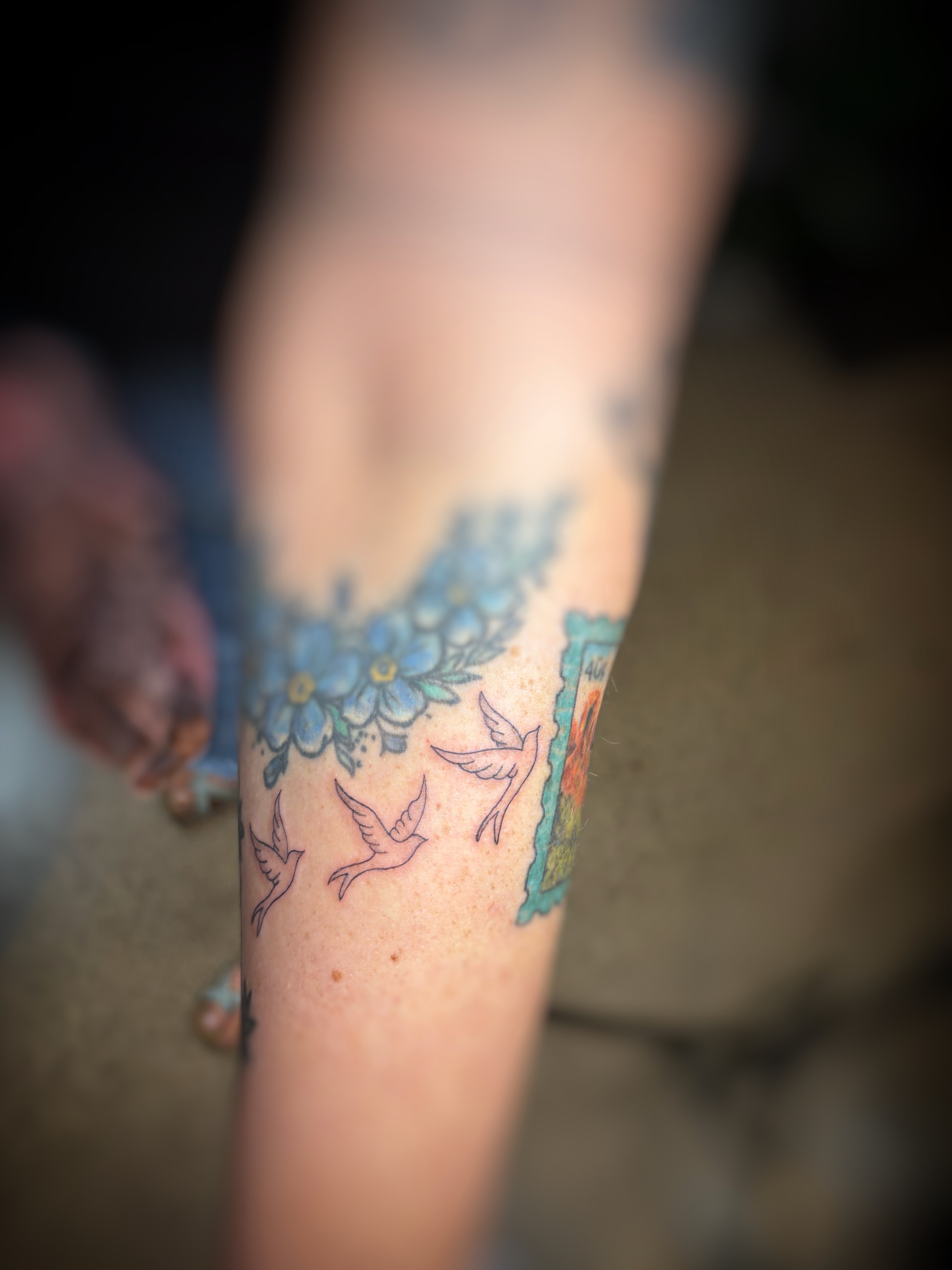 Birds and flowers new school tattoo on the forearm by Holly