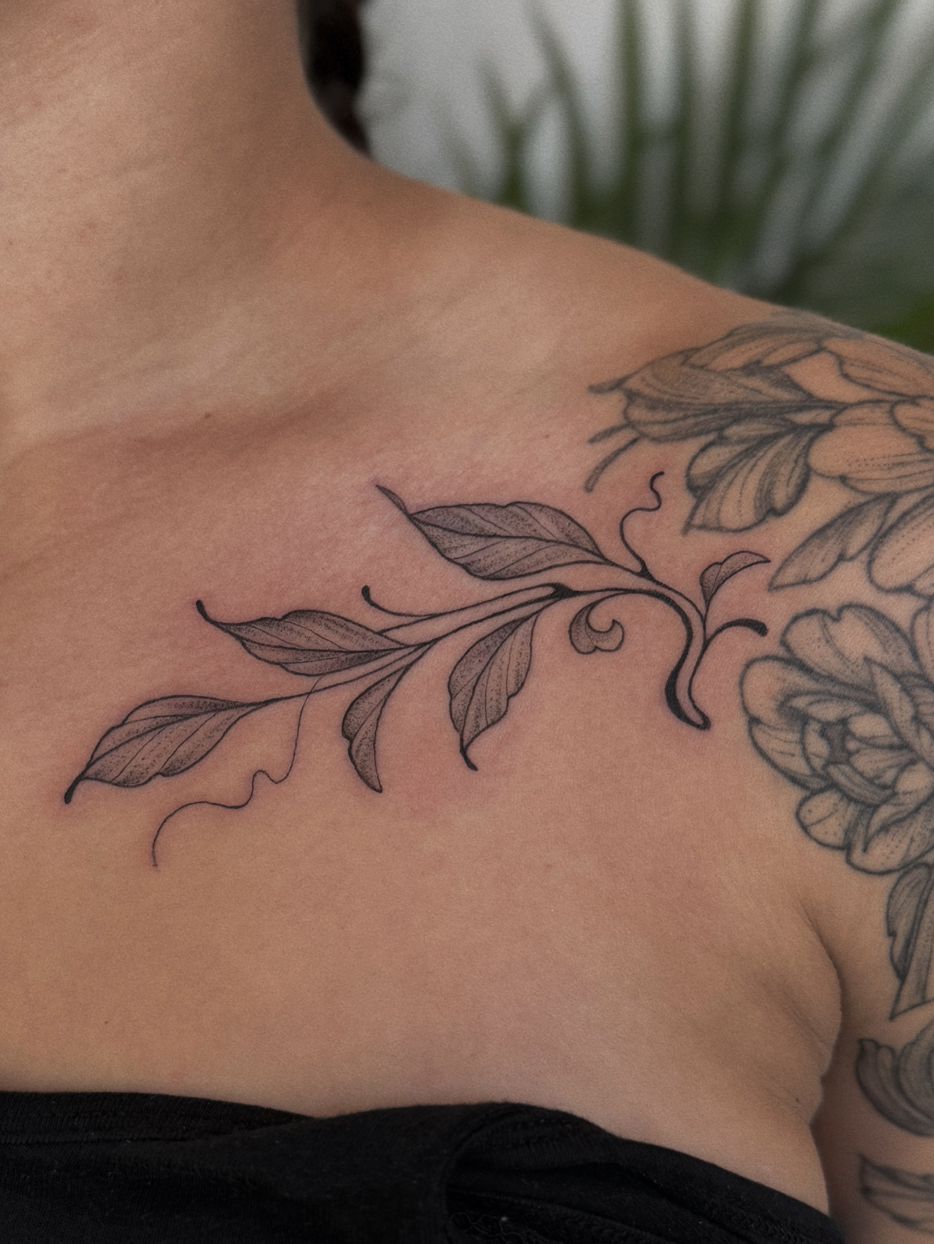 Floral branch black and grey tattoo on the shoulder by 𝕵𝖊𝖘𝖘𝖎𝖈𝖆 𝕰𝖑 (raleigh tattoo artist)