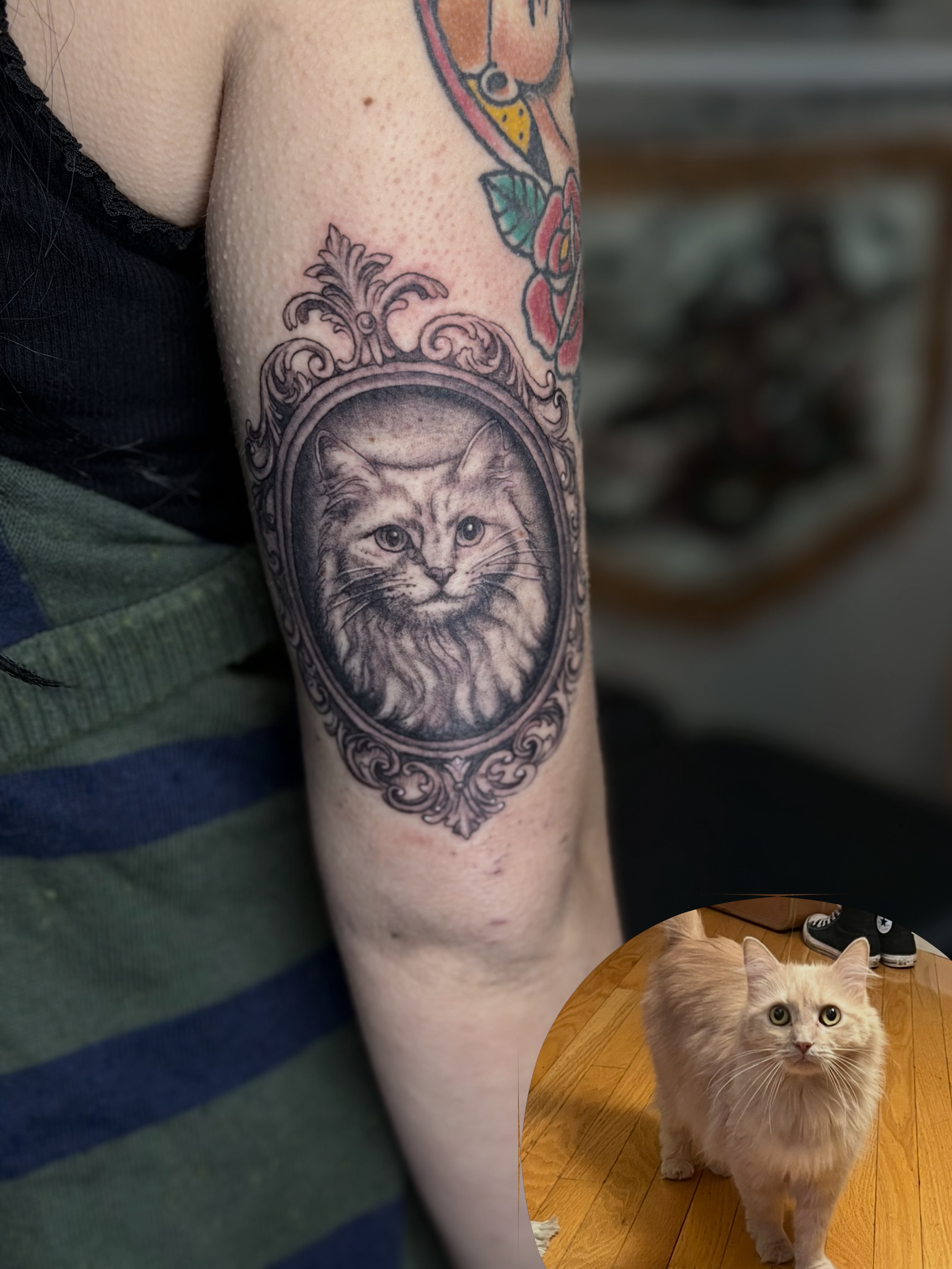 Cat portrait realism tattoo on the forearm by Skylar Sheeley