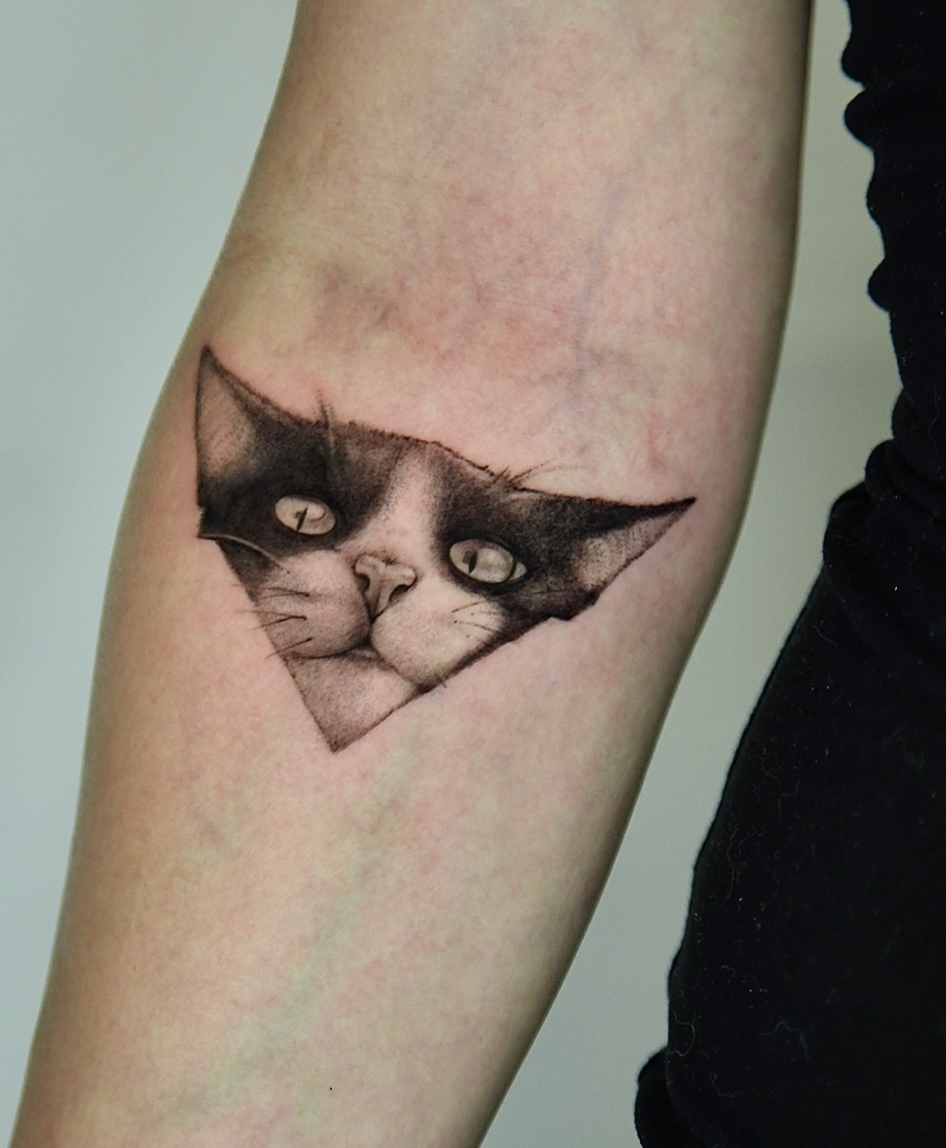 Cat realism tattoo on the forearm by Milk Tattoos 🇸🇻🇪🇸