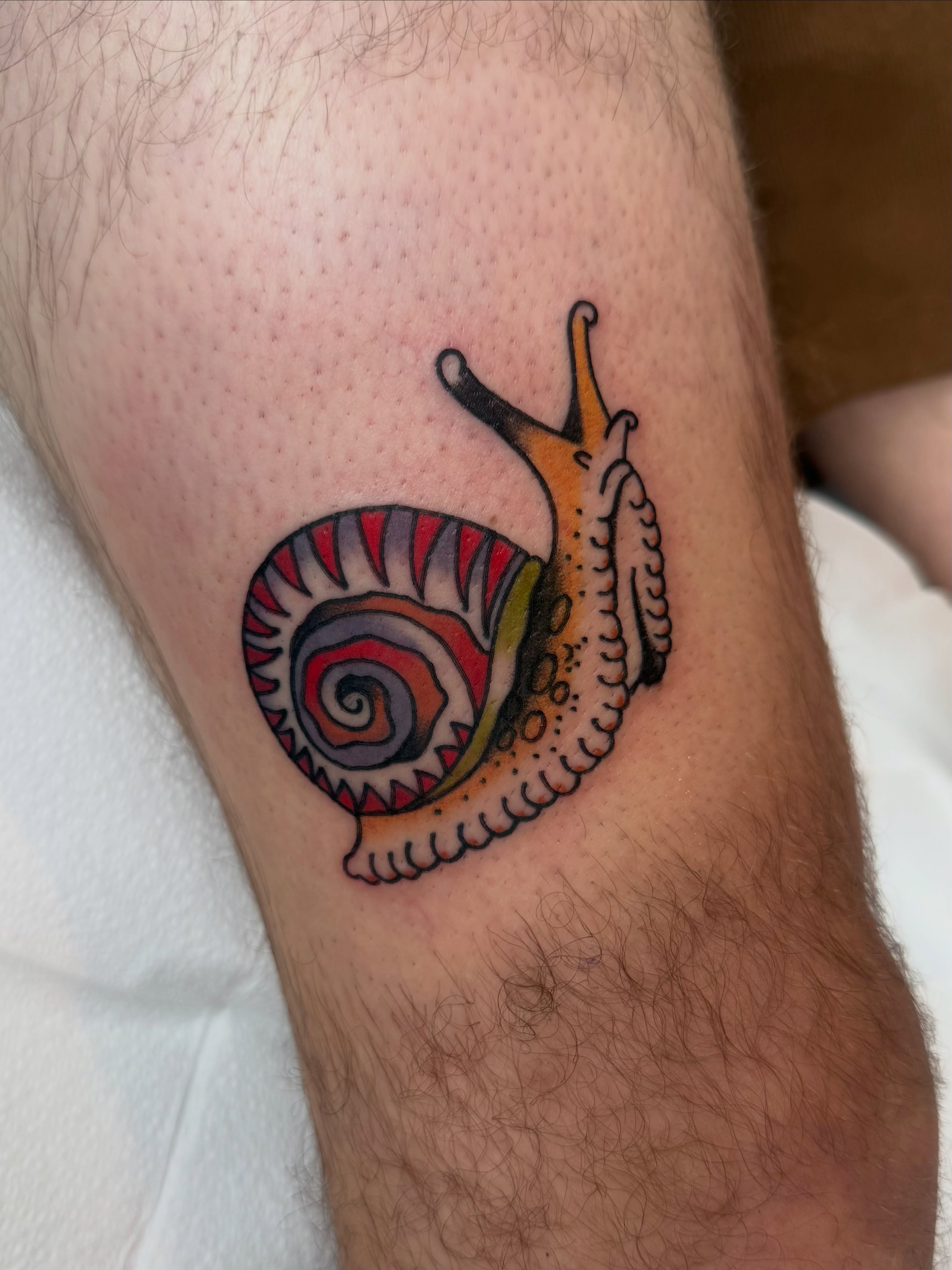 Snail new school tattoo on the forearm by Lexie Graff
