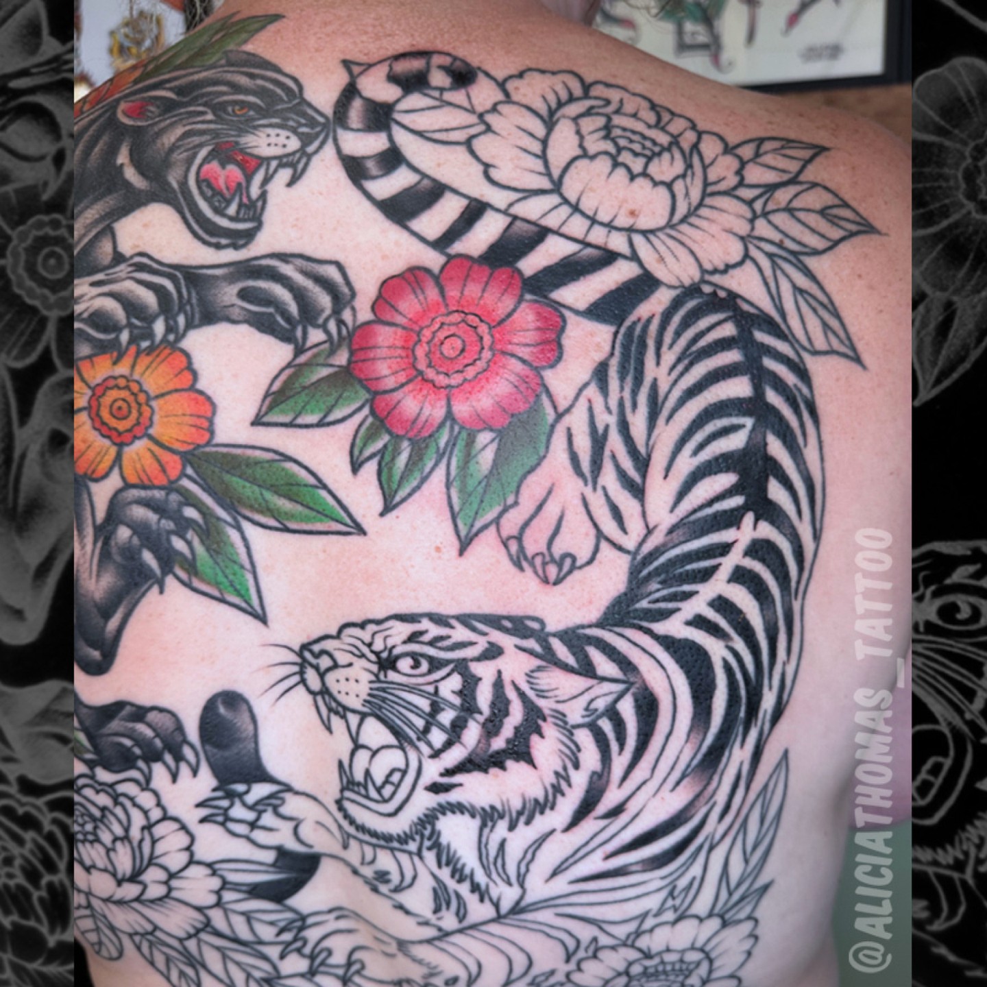 Tiger and snake American traditional tattoo on the back by 𝖆𝖑𝖎𝖈𝖎𝖆 𝖙𝖍𝖔𝖒𝖆𝖘