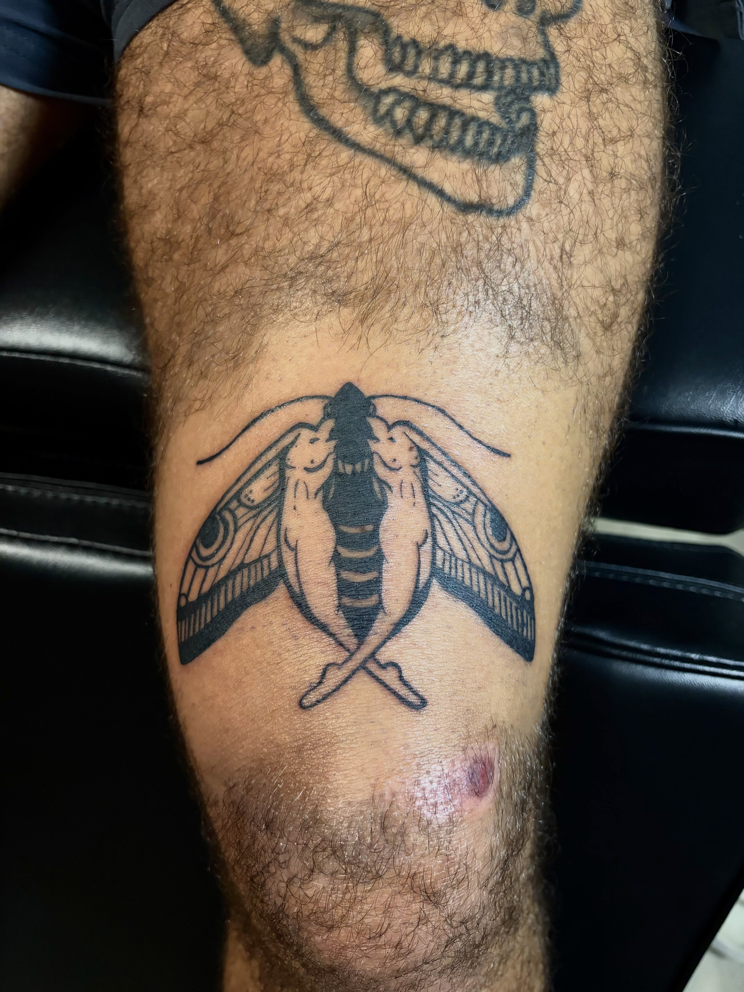Moth and bee black and grey tattoo on the forearm by blastedbybk