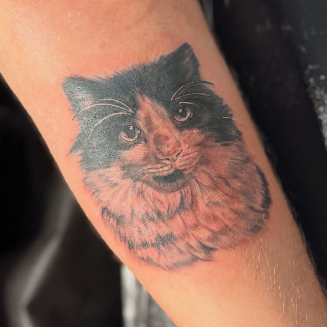 Cat realism tattoo on the forearm by Emily K Lingg
