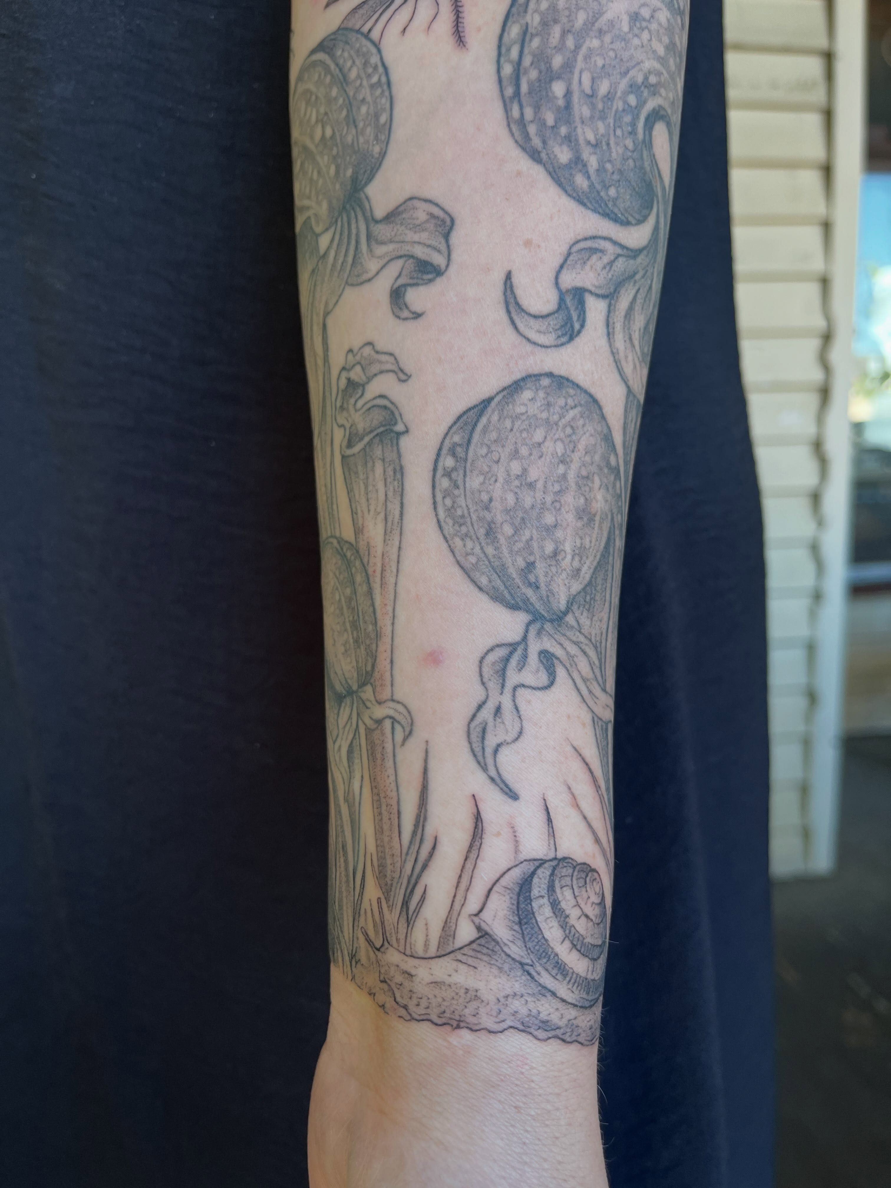 Octopus and seashell black and grey tattoo on the forearm by Vincent Espinoza, Eugene, Oregon