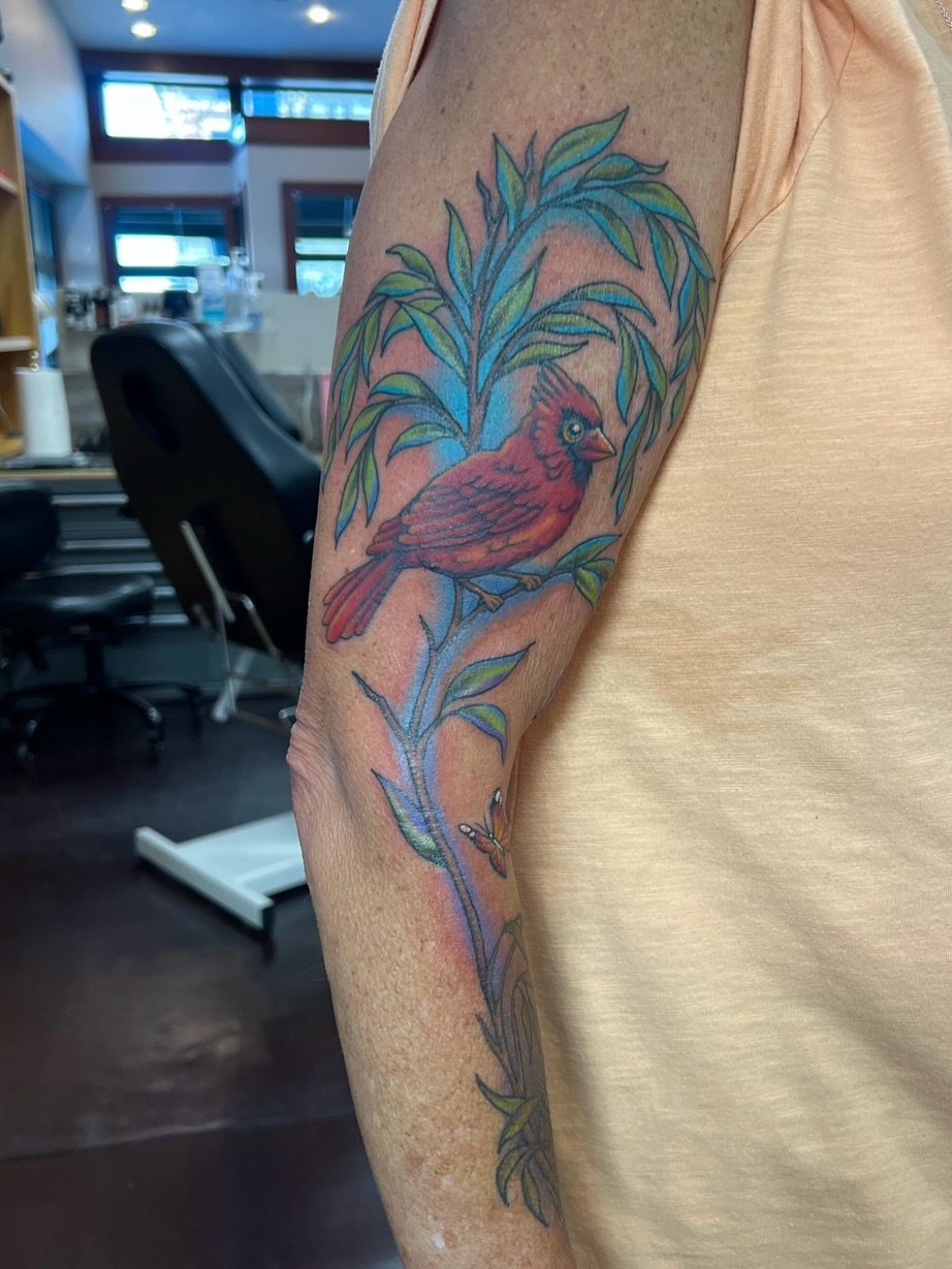 Cardinal bird realism tattoo on the forearm by ๐๐ฒ๐ต๐ ๐๐ช๐พ๐ป๐ฒ๐ต๐ช ๐ฃ๐ช๐ฝ๐ฝ๐ธ๐ธ๐ผ