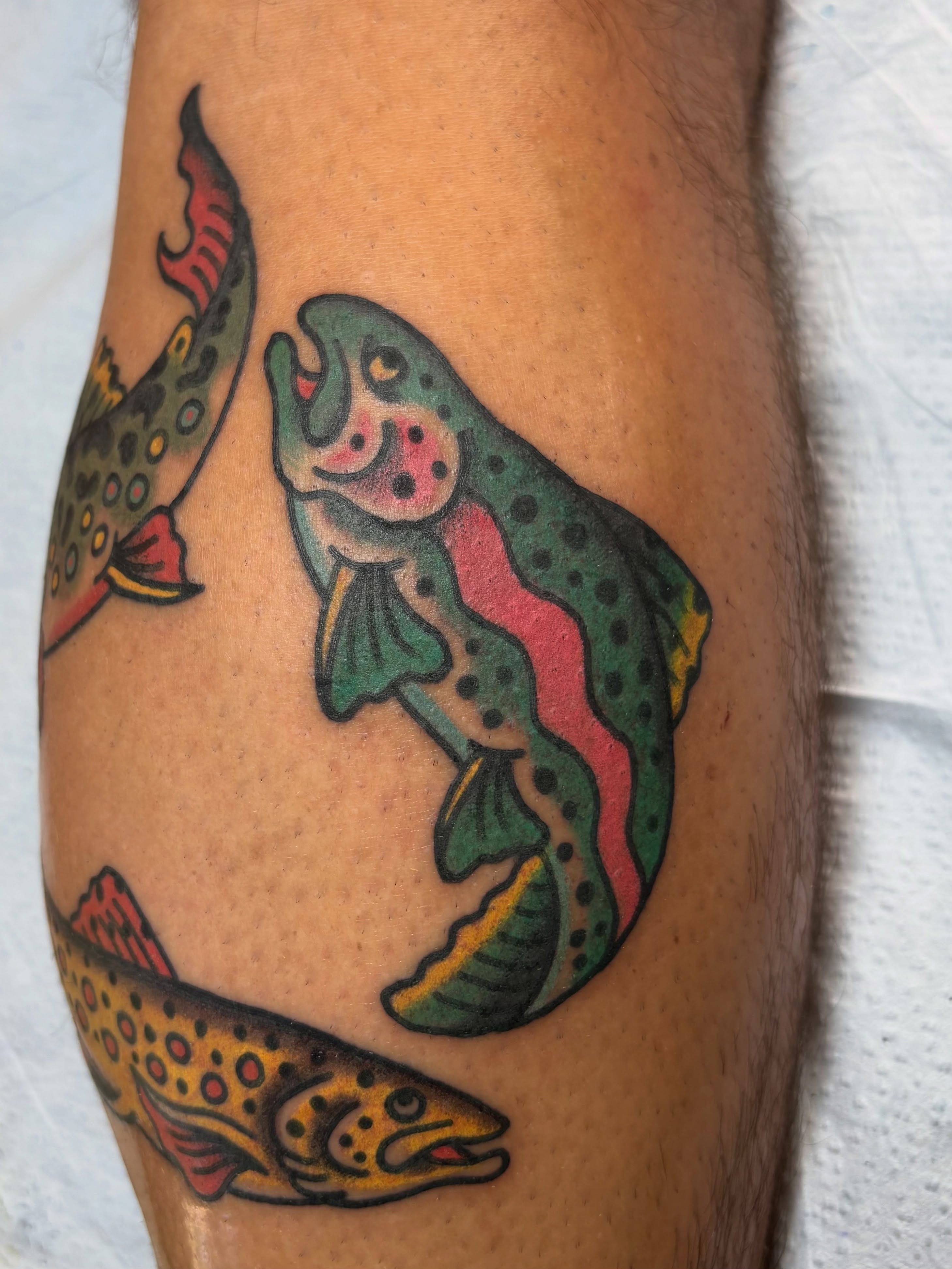 Rainbow trout American traditional tattoo on the forearm by Jake Herbert, Knoxville, Tennessee