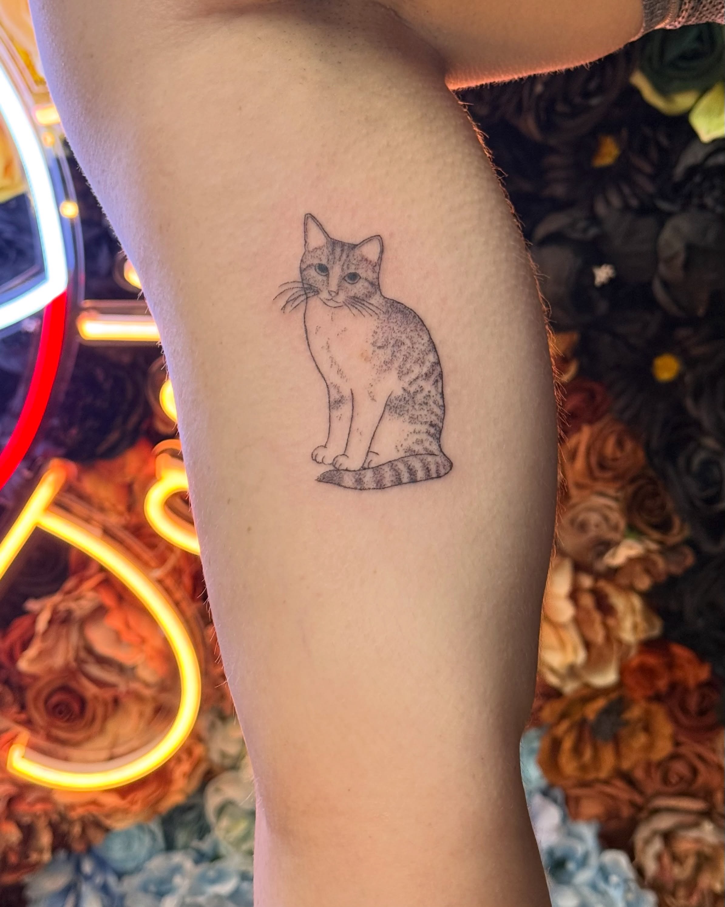 Cat realism tattoo on the forearm by Handpoke Tattoo Artist, Minneapolis, Minnesota