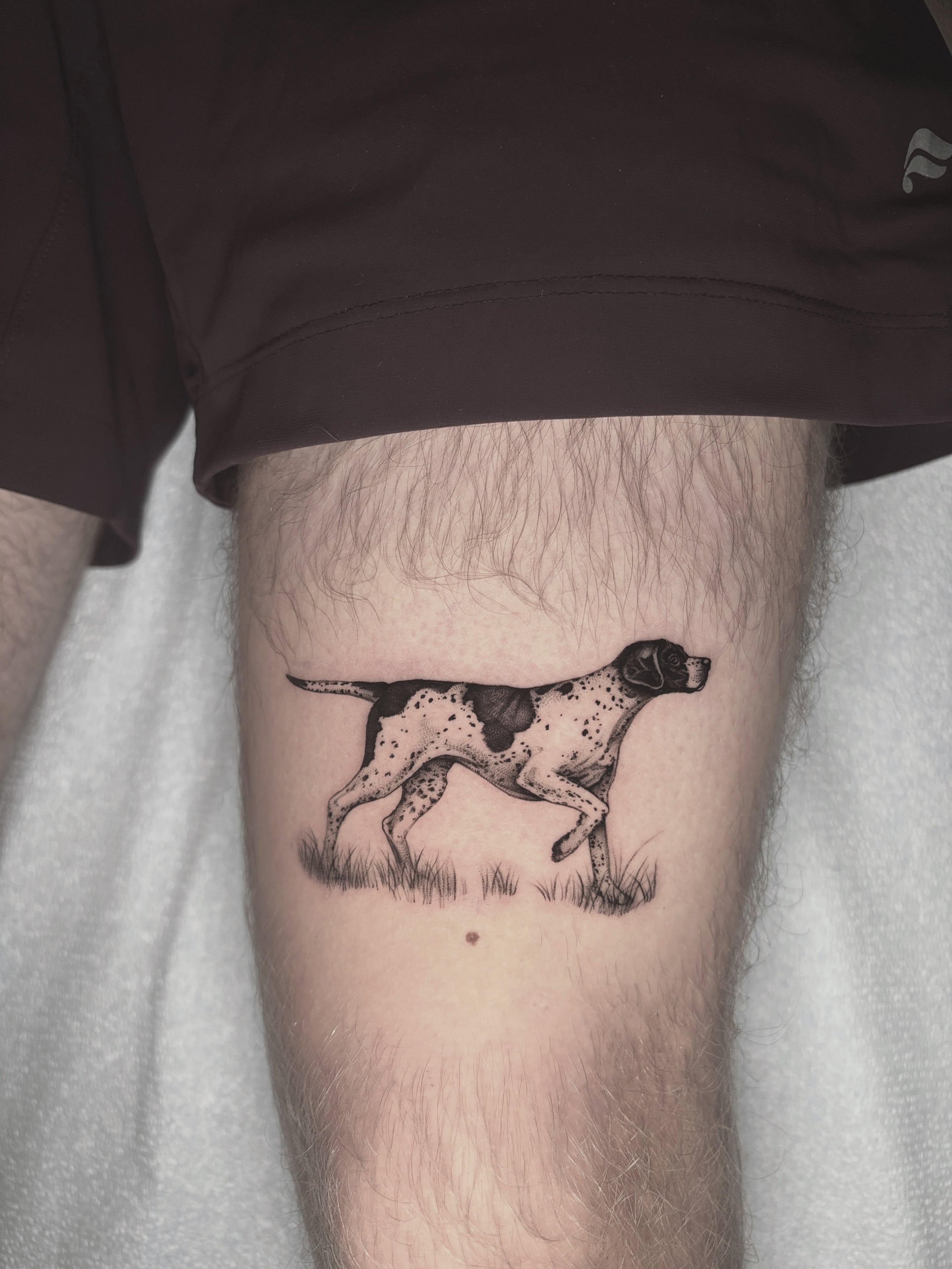 Dog dotwork tattoo on the thigh by Emma Cotter