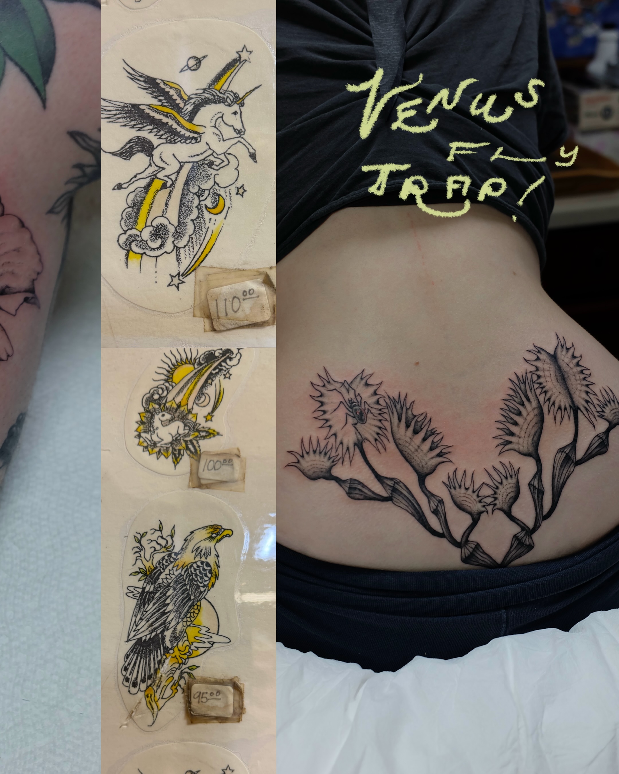 Venus flytrap black and grey tattoo on the ribs by Sisilia