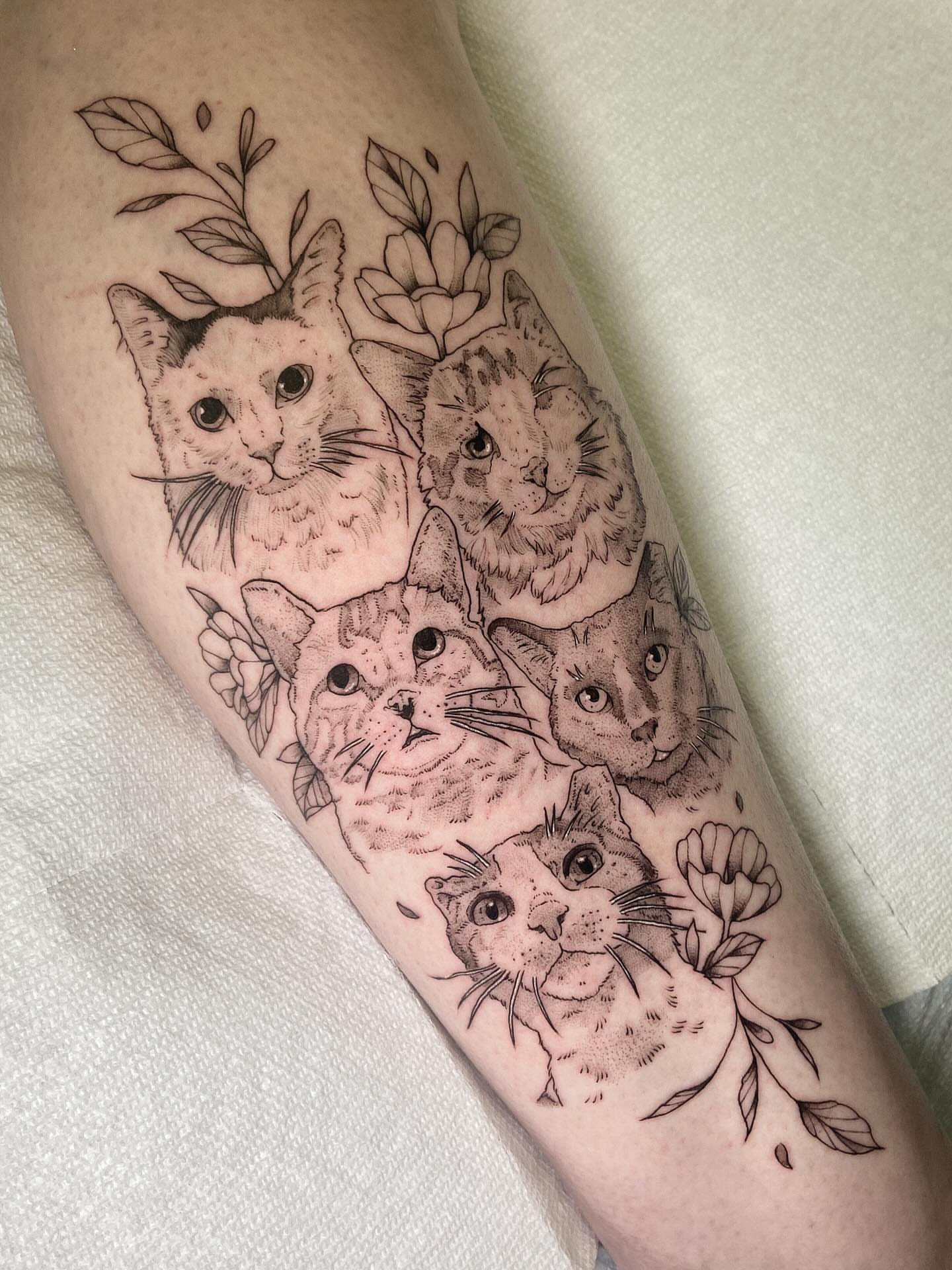 Cats dotwork tattoo on the forearm by Libbey June @ Snailberry Studios- NW OHIO
