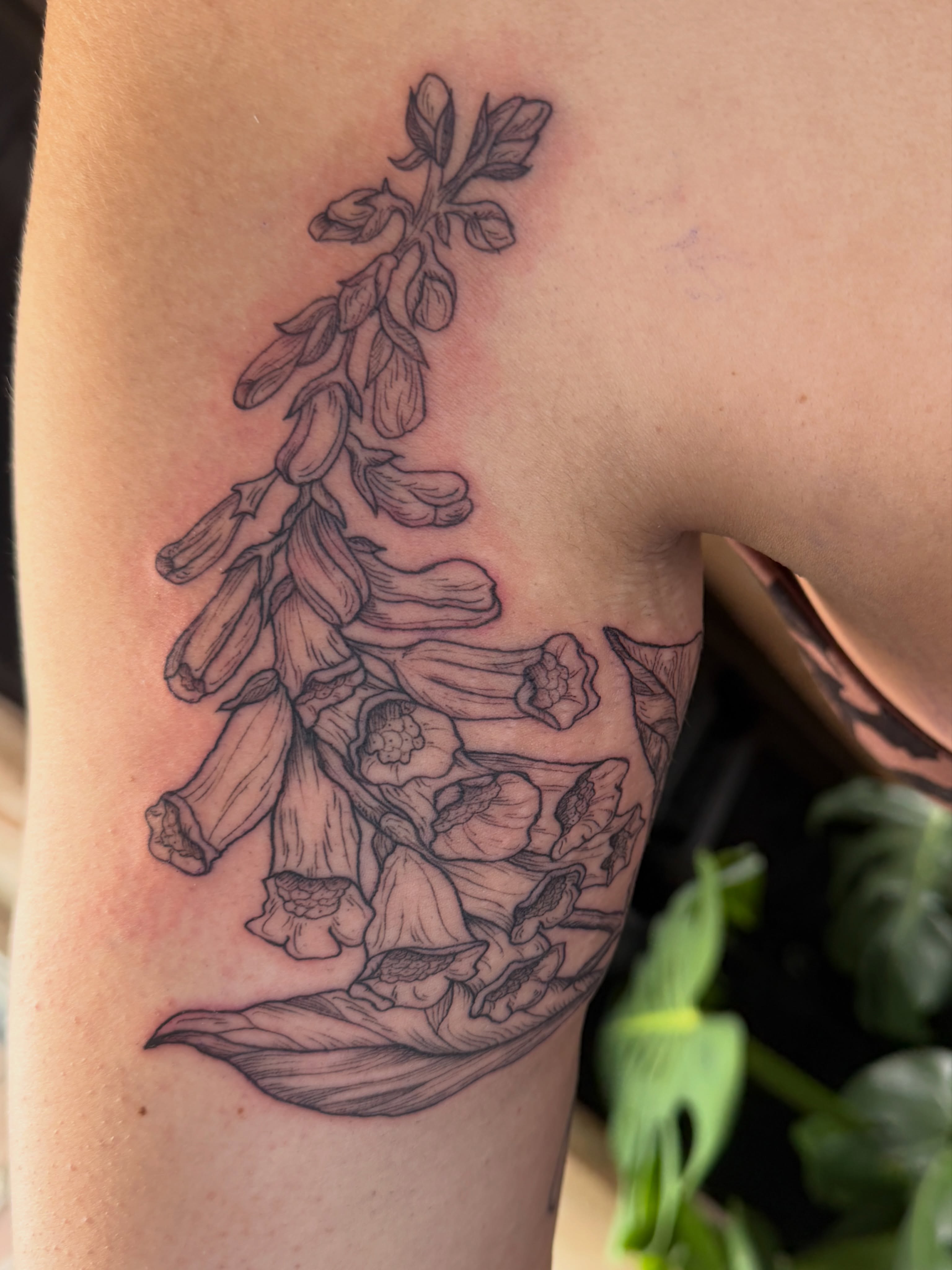 Foxglove flowers black and grey tattoo on the upper arm by Lora Bird