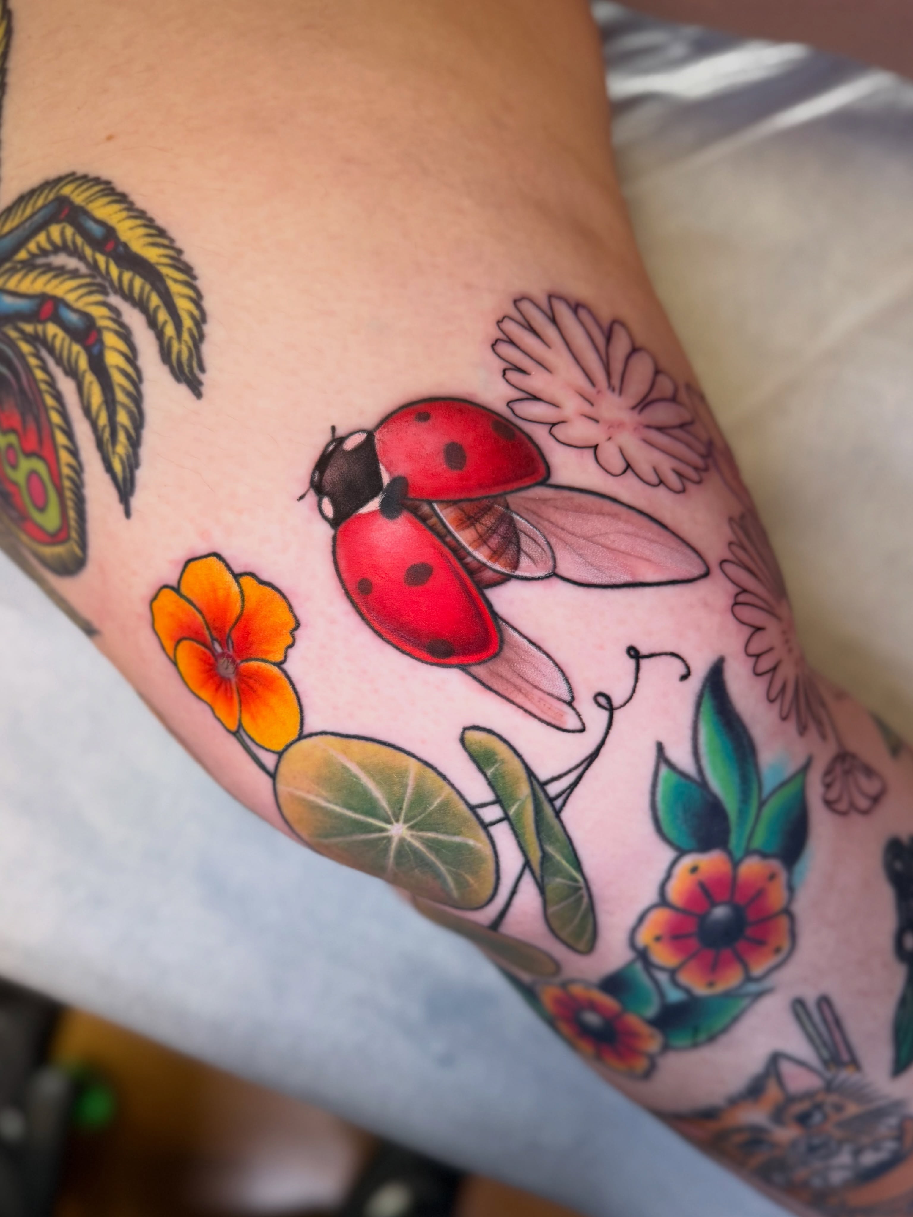 Tattoo by @virginiaswampwitch โ american_traditional, dotwork
