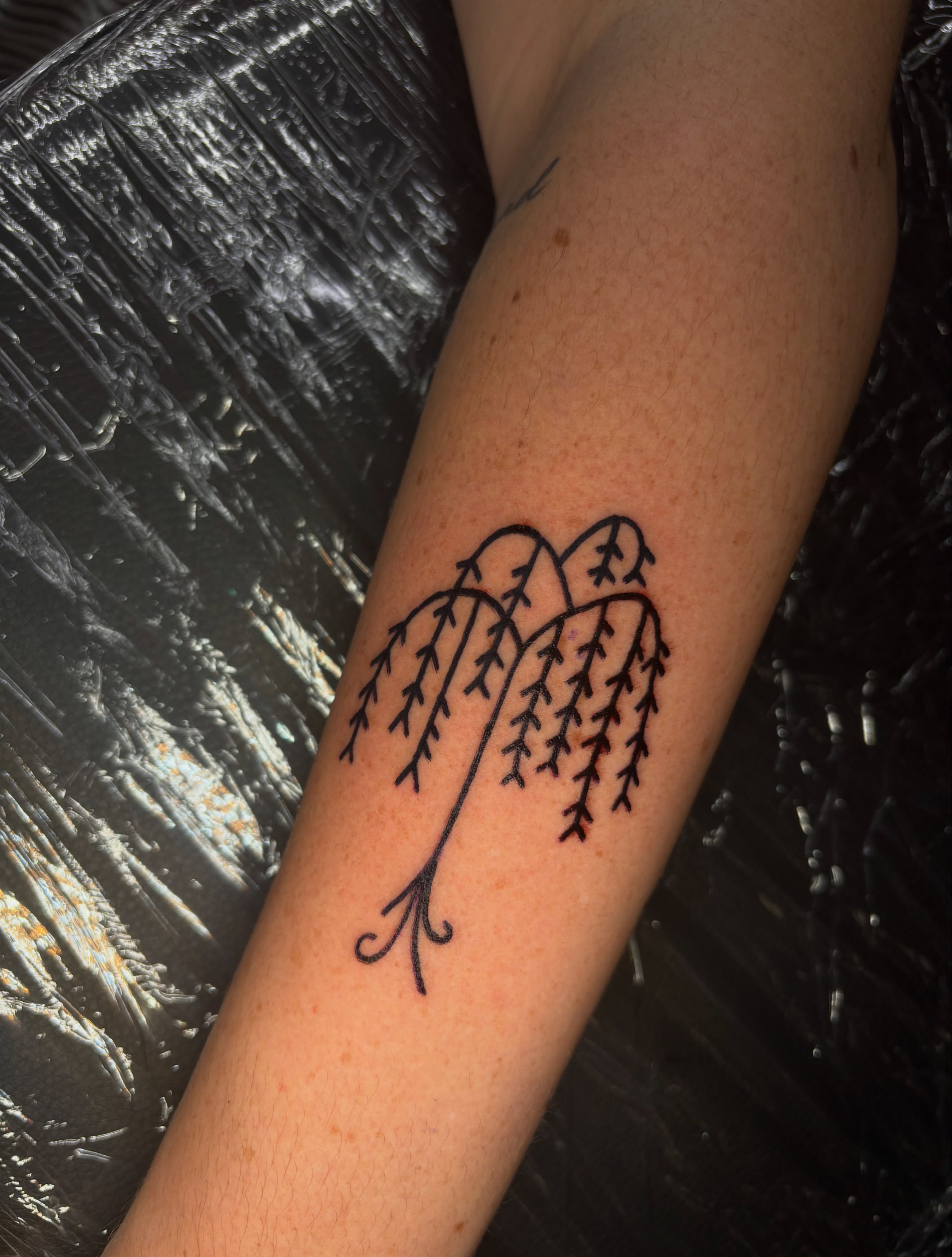 Weeping willow fine line tattoo on the forearm by Jenna Clayton