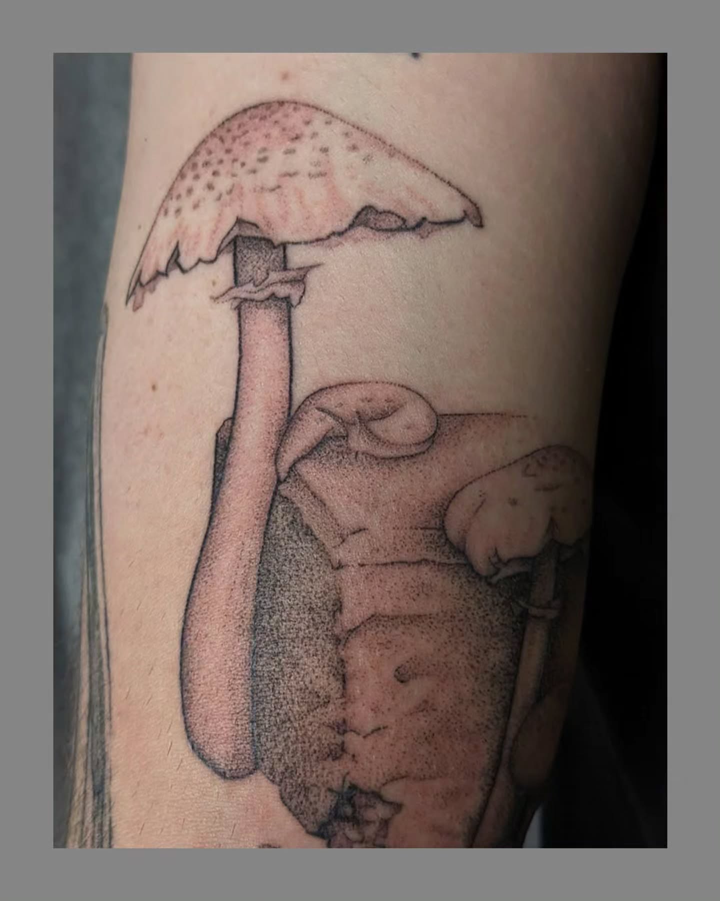Mushroom dotwork tattoo on the forearm by Marria