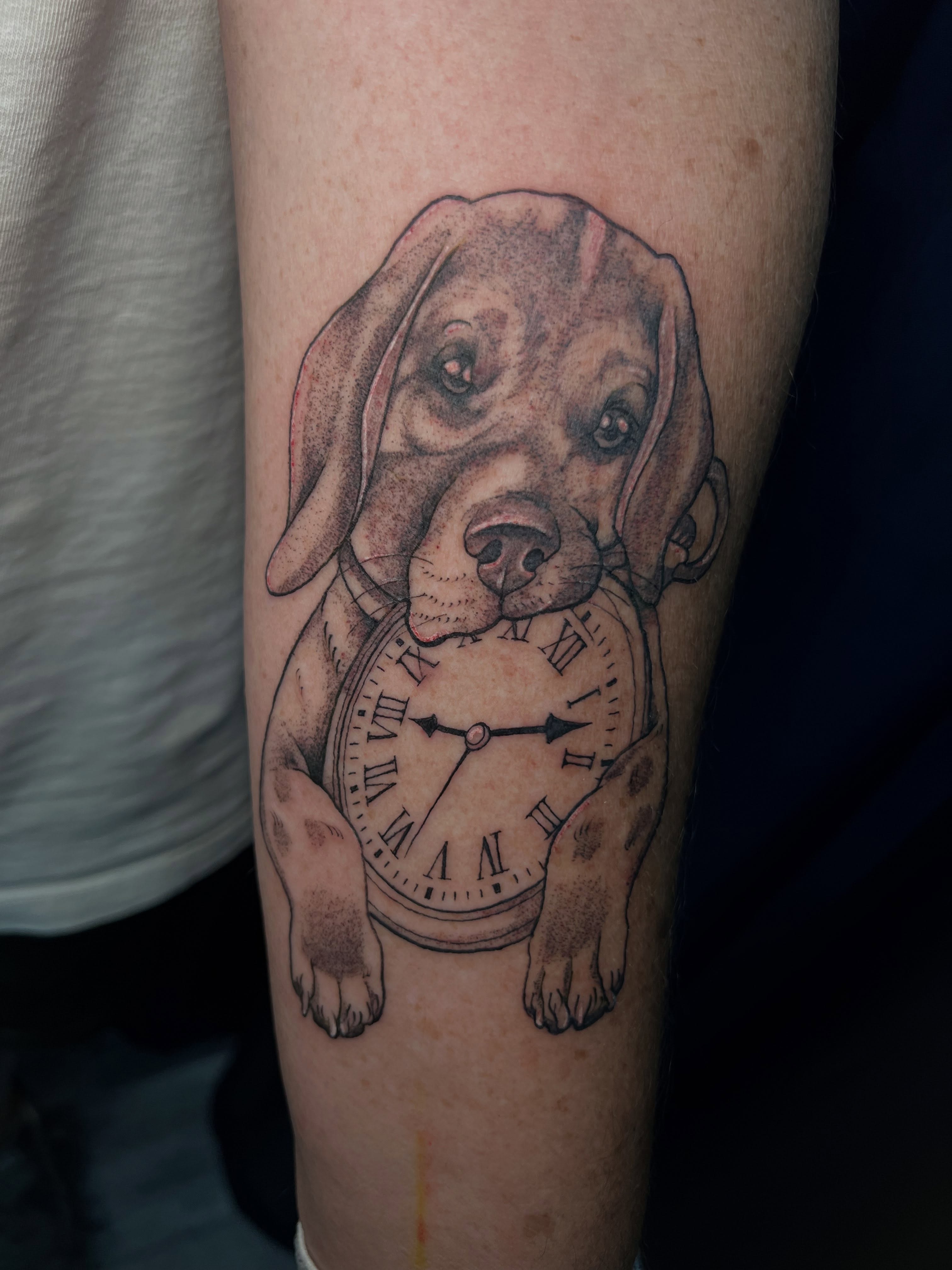 Dog with clock dotwork tattoo on the forearm by Monii Arreola