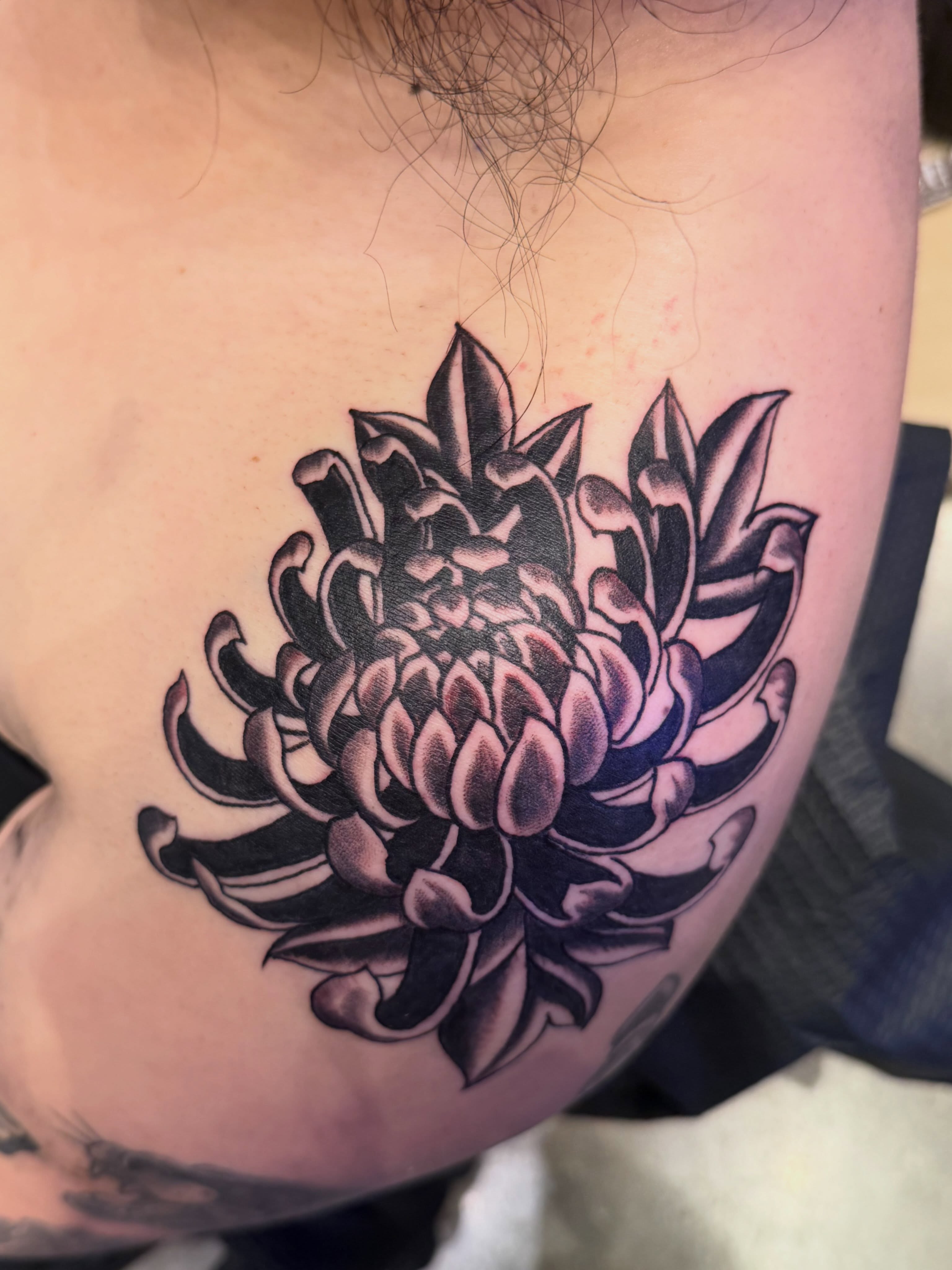 Chrysanthemum black and grey tattoo on the shoulder by David Evans