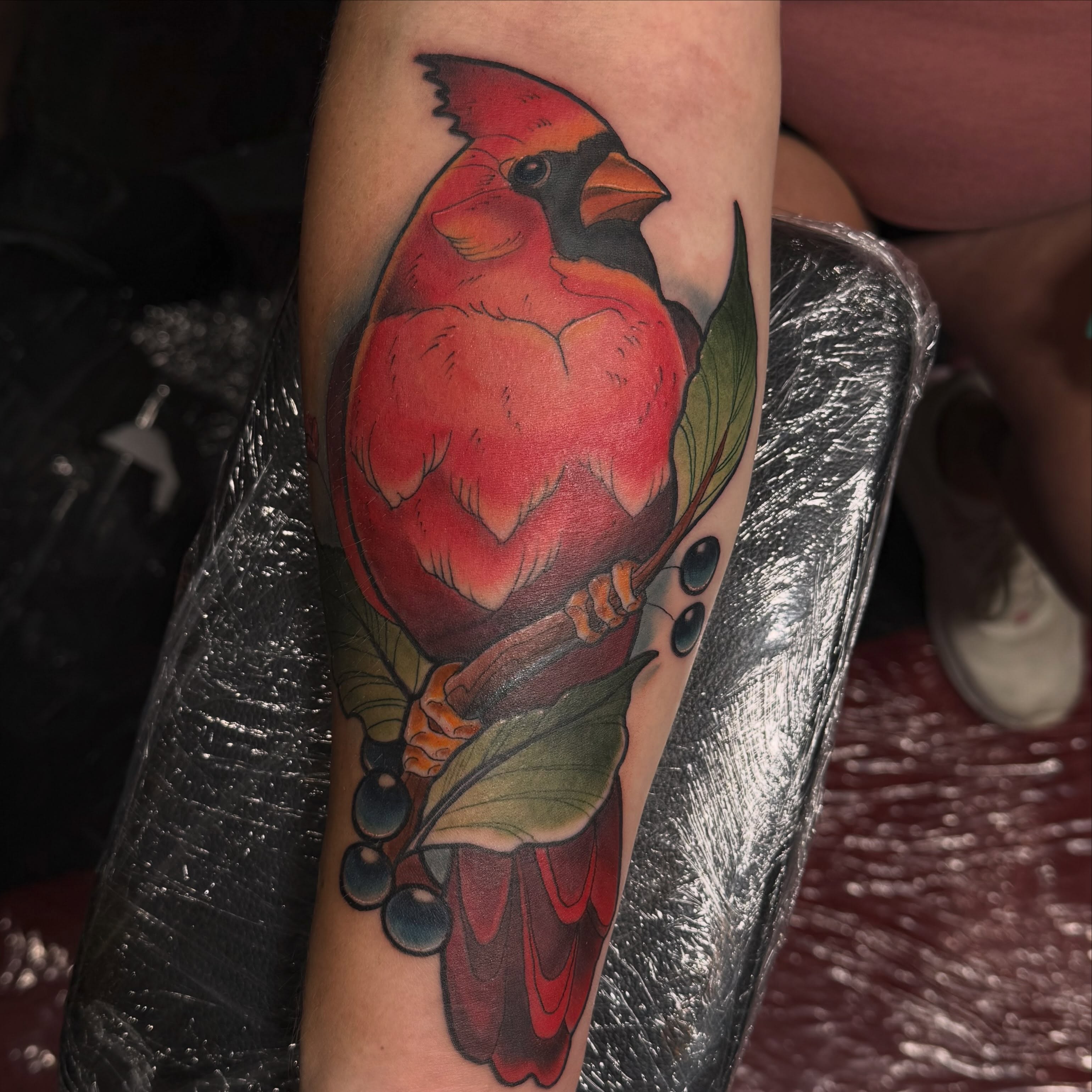 Cardinal bird American traditional tattoo on the forearm by Chris Smiseck