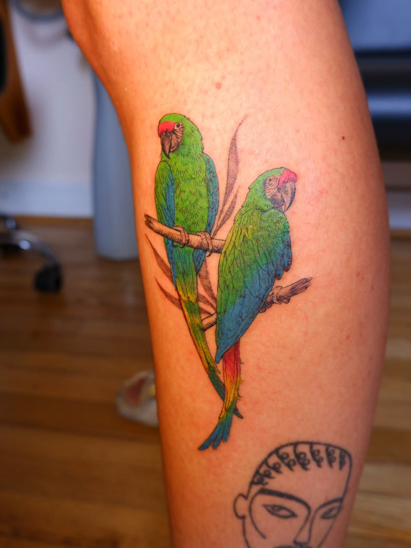 Parrots realism tattoo on the thigh by bird ✦ tattoo artist ✦ philadelphia