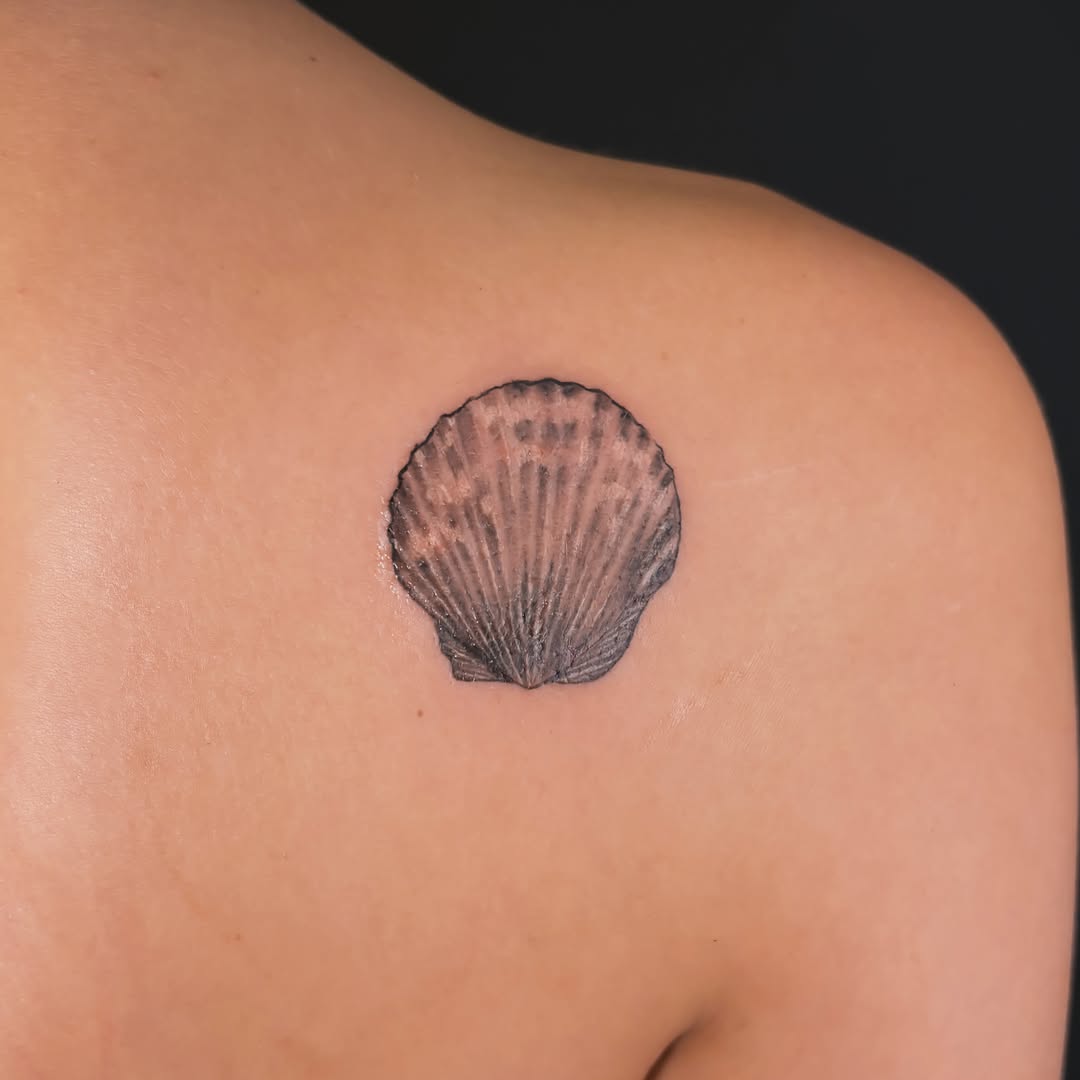 Scallop shell fine line tattoo on the shoulder by *:・kelly✧*:・゚