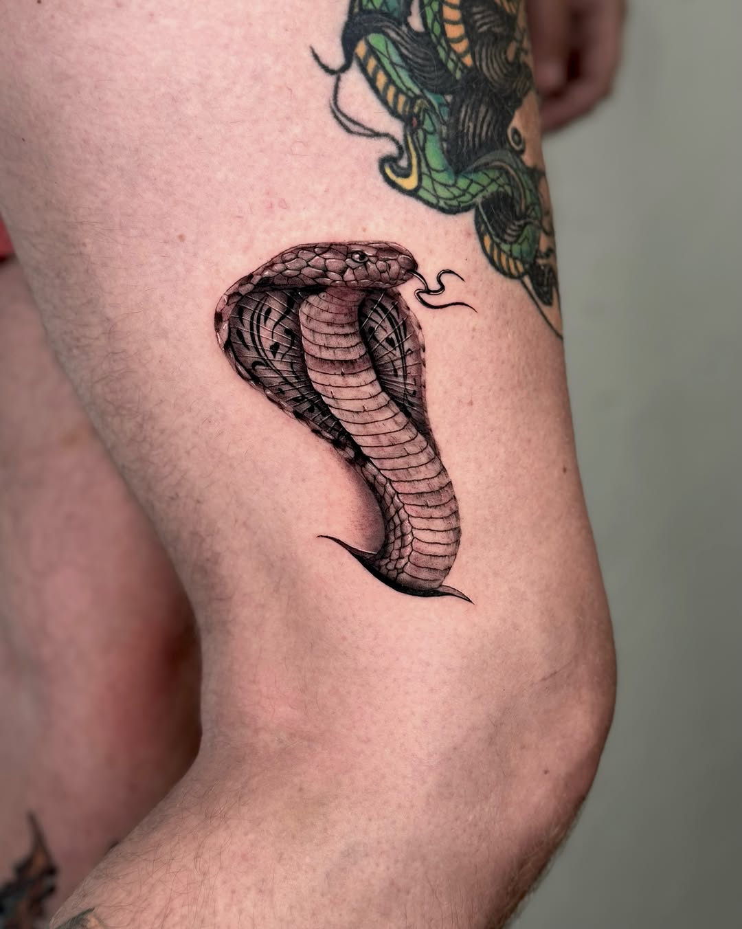 Cobra black and grey tattoo on the thigh by Ricky, Chicago, Illinois