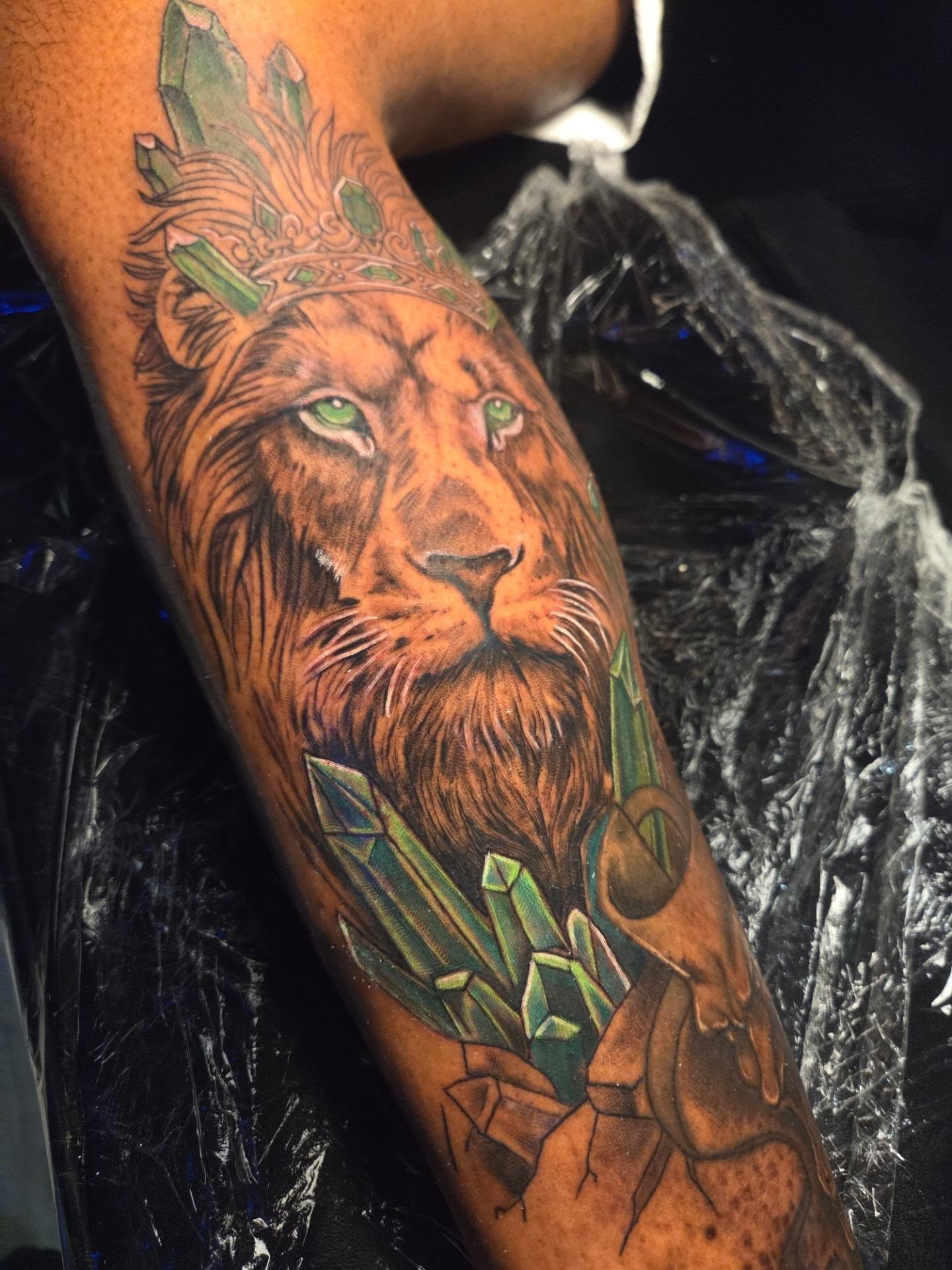 Lion realism tattoo on the forearm by Klazzik Mayfield, Fort Lauderdale, Florida
