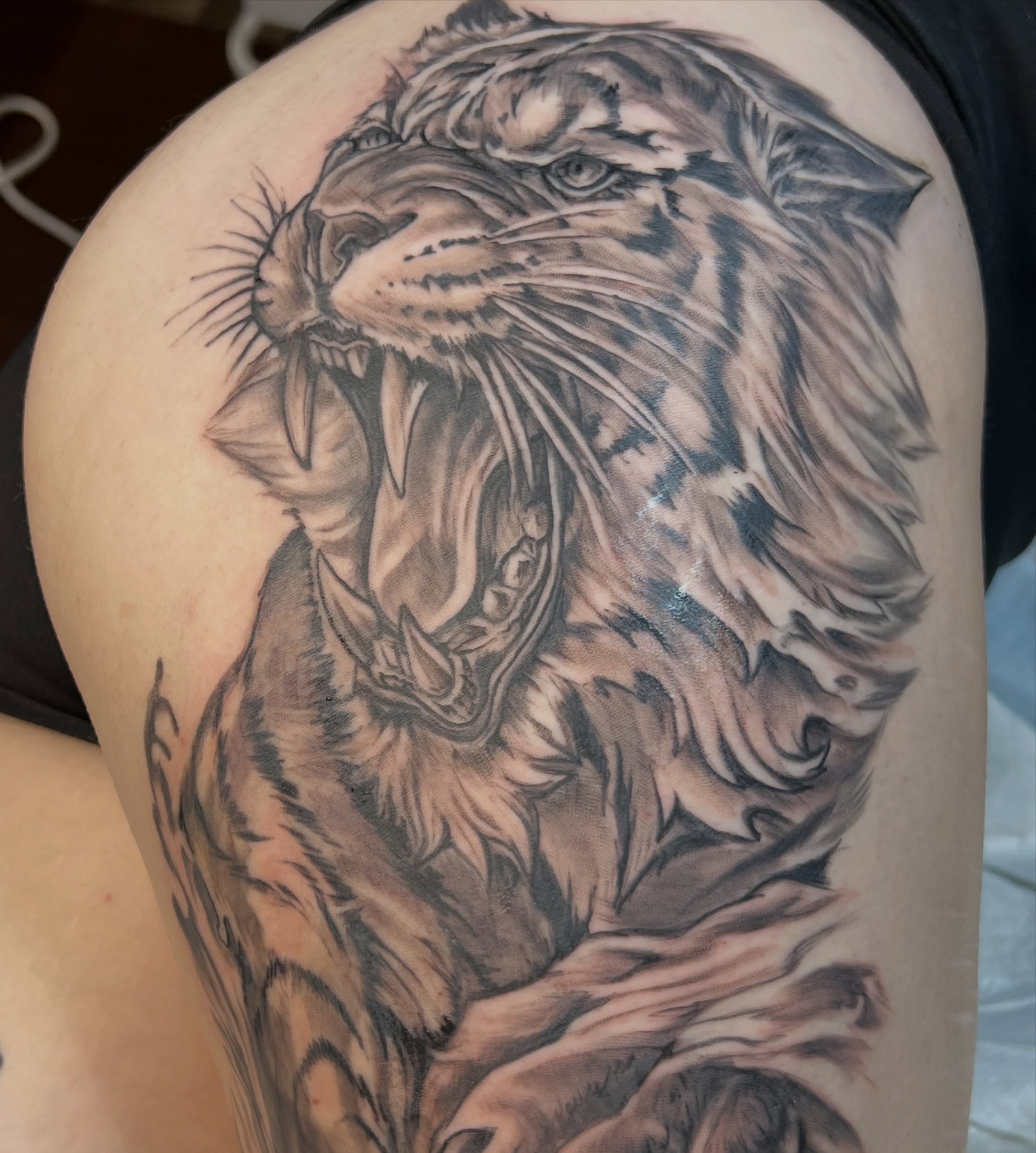 Roaring tiger realism tattoo on the shoulder by Simón, Newington, Connecticut