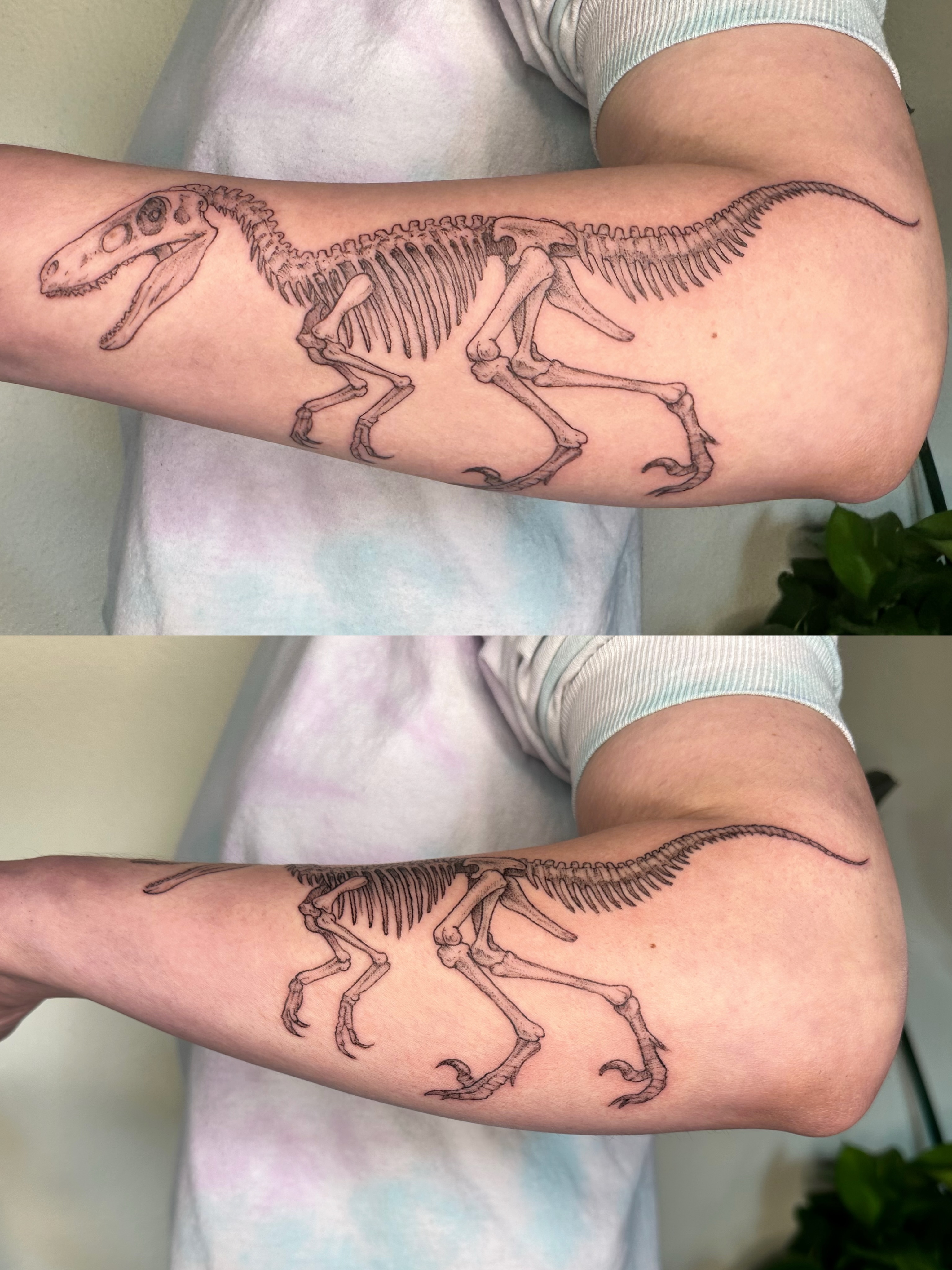 Dinosaur skeleton black and grey tattoo on the forearm by kenzie hunter
