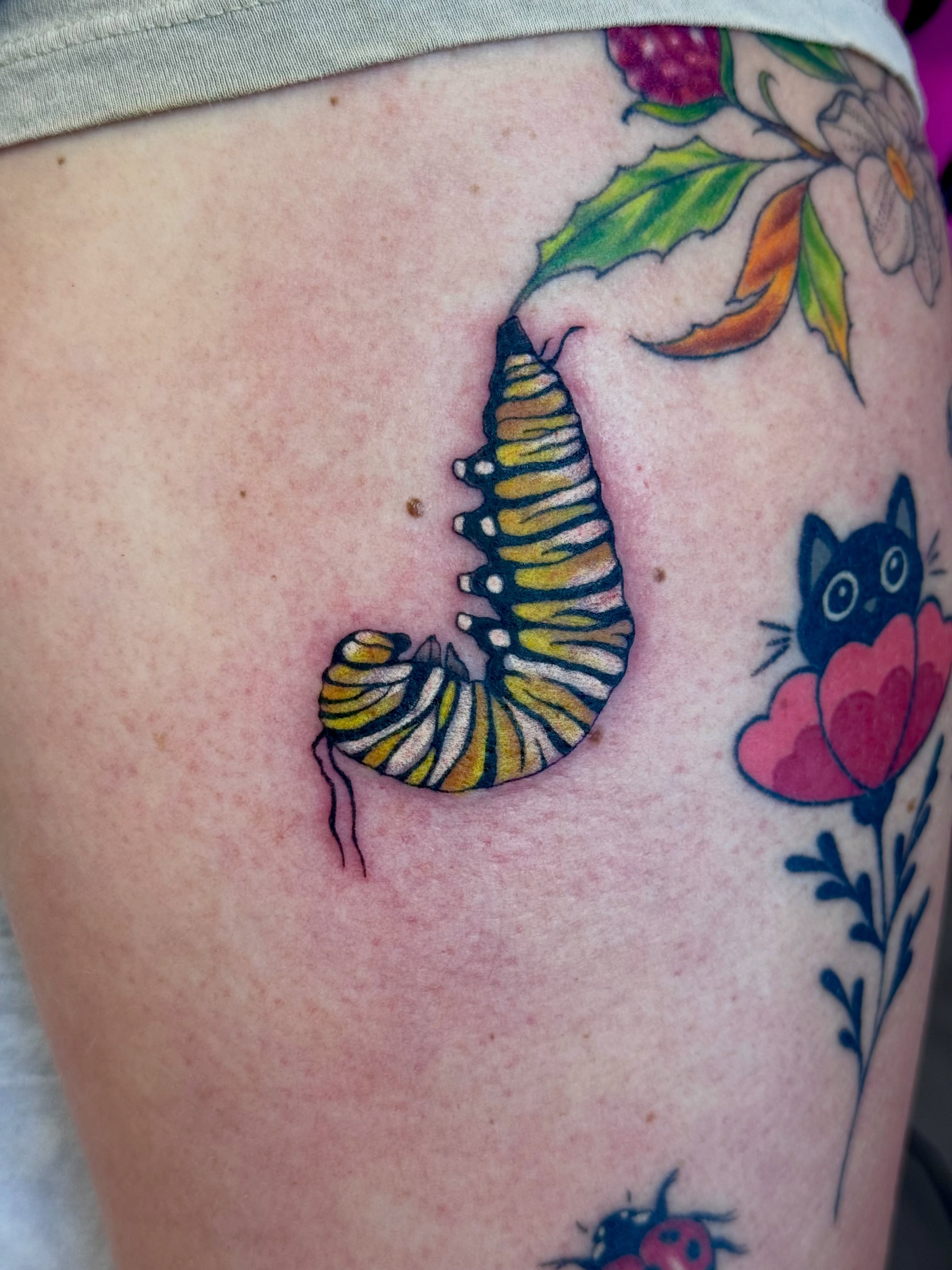 Monarch caterpillar new school tattoo on the thigh by Caitlynn Austin