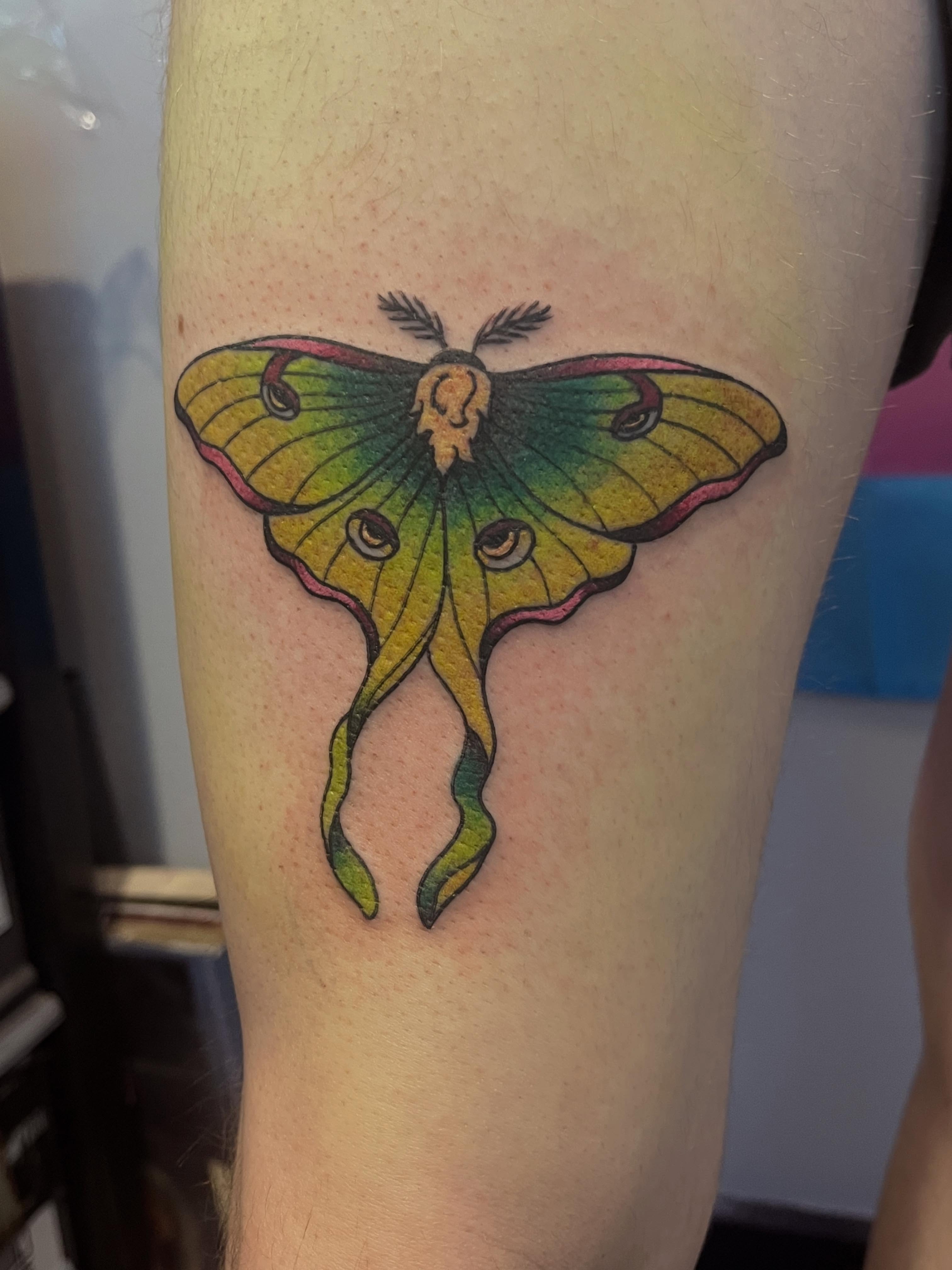 Moon moth American traditional tattoo on the forearm by 🖤Jess Pereira🖤, Framingham, Massachusetts