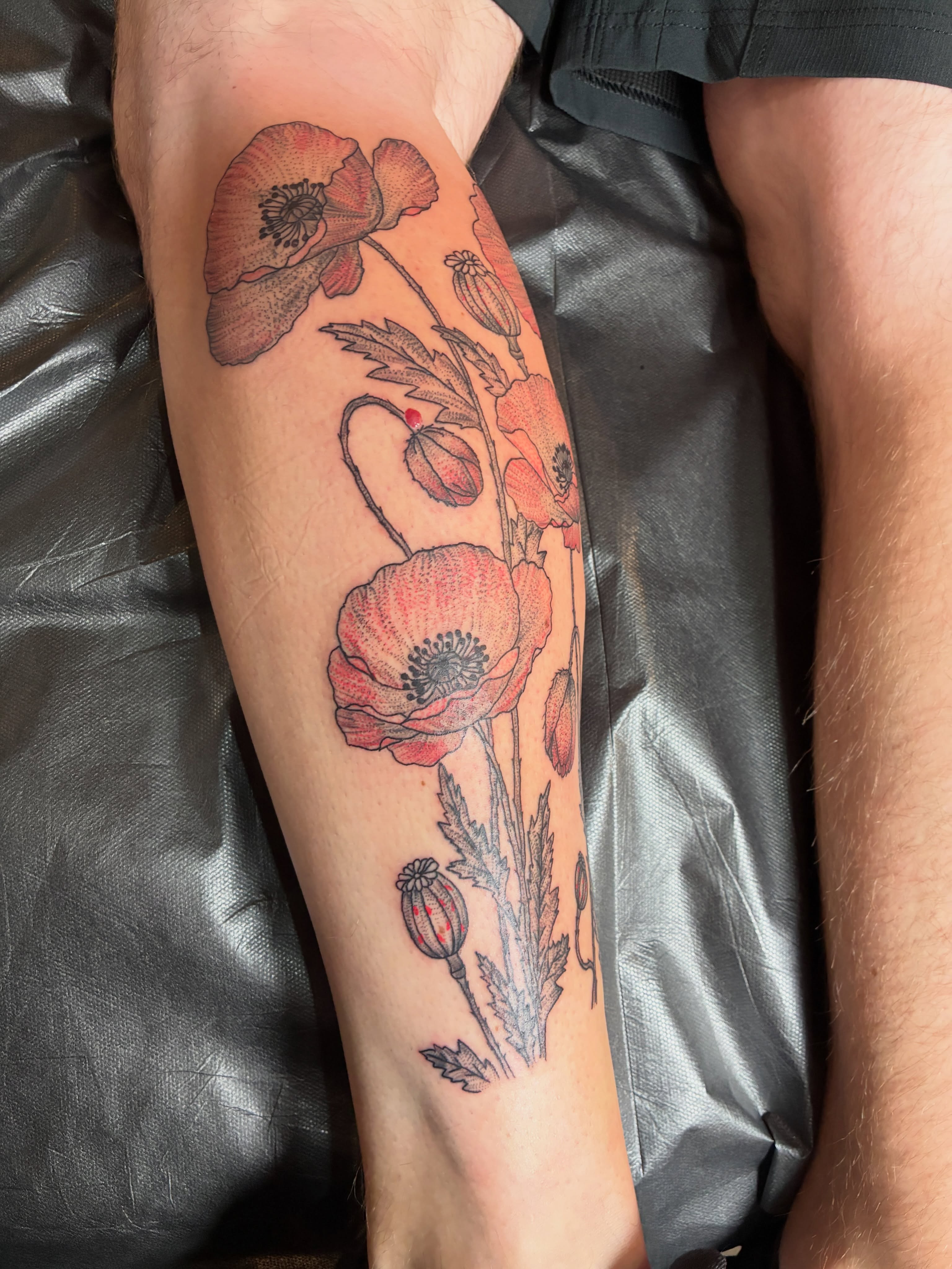 Poppy flowers realism tattoo on the forearm by Seattle Tattoo Artist