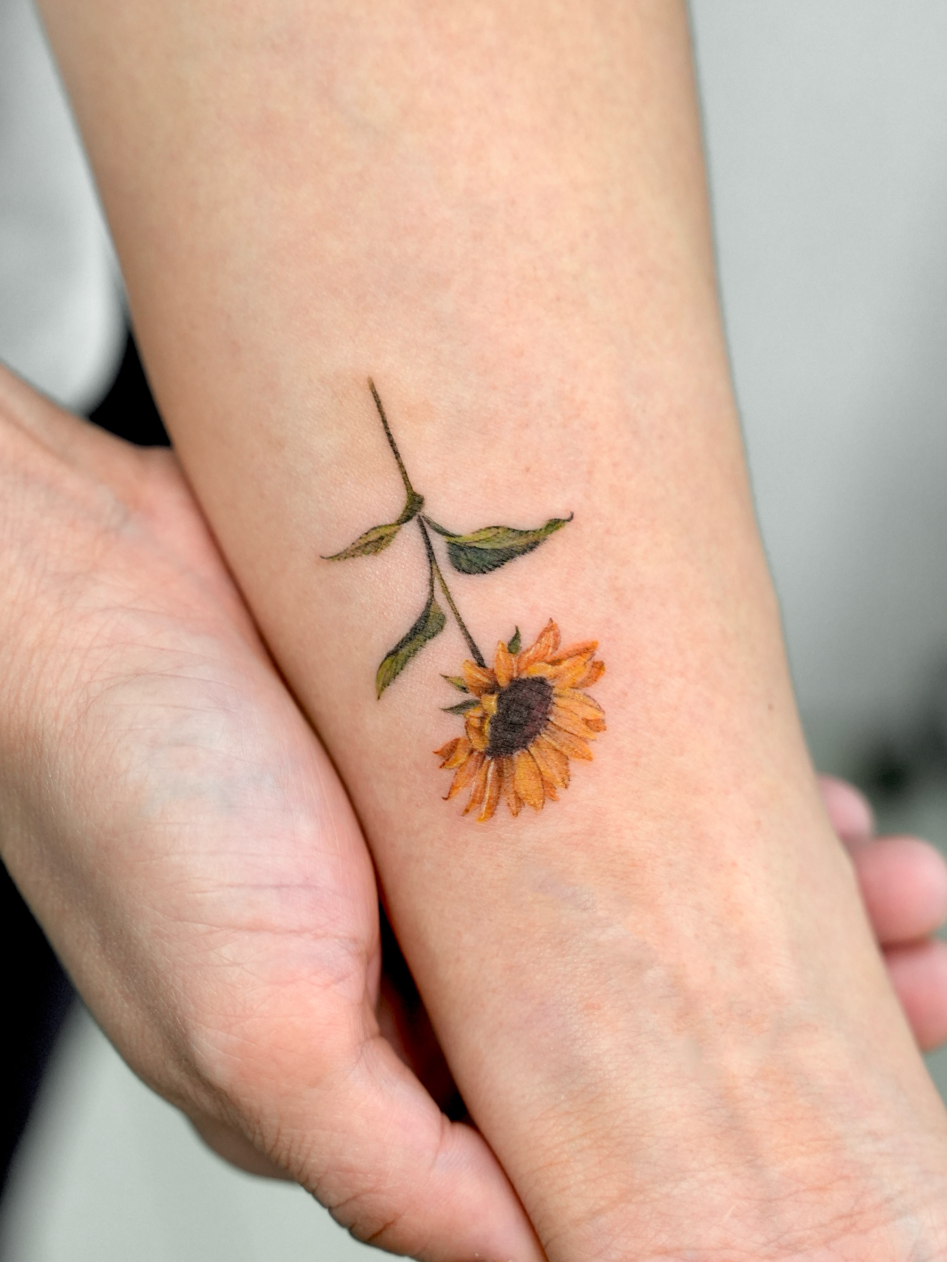 Sunflower realism tattoo on the forearm by ⟡ 𝙶𝙰𝙾𝙽 ⟡ 제주타투 가온 Jejutattoo
