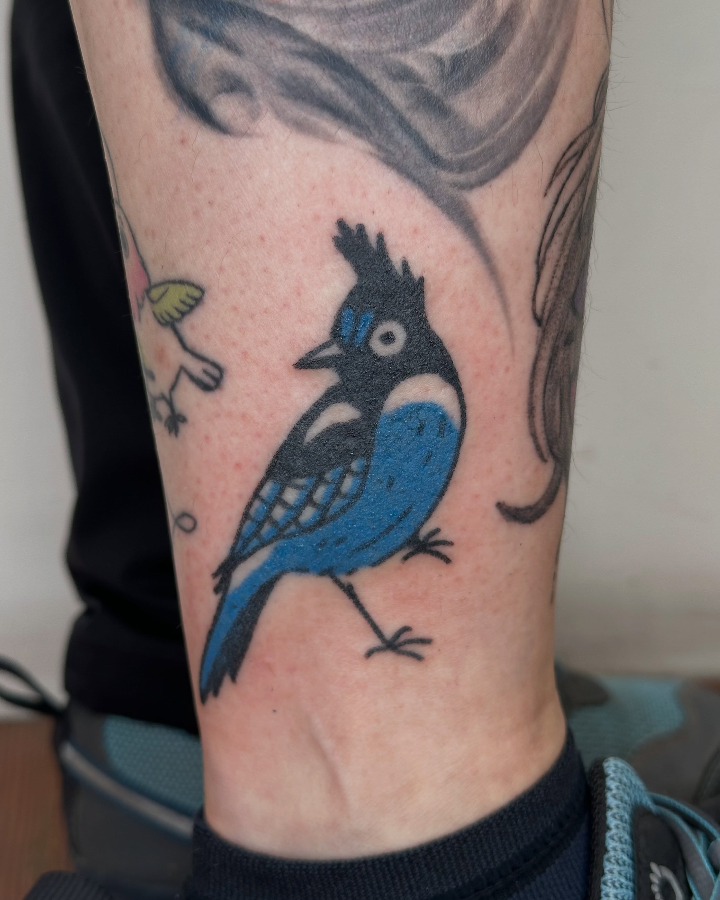 Blue jay illustrative tattoo on the forearm by paulina