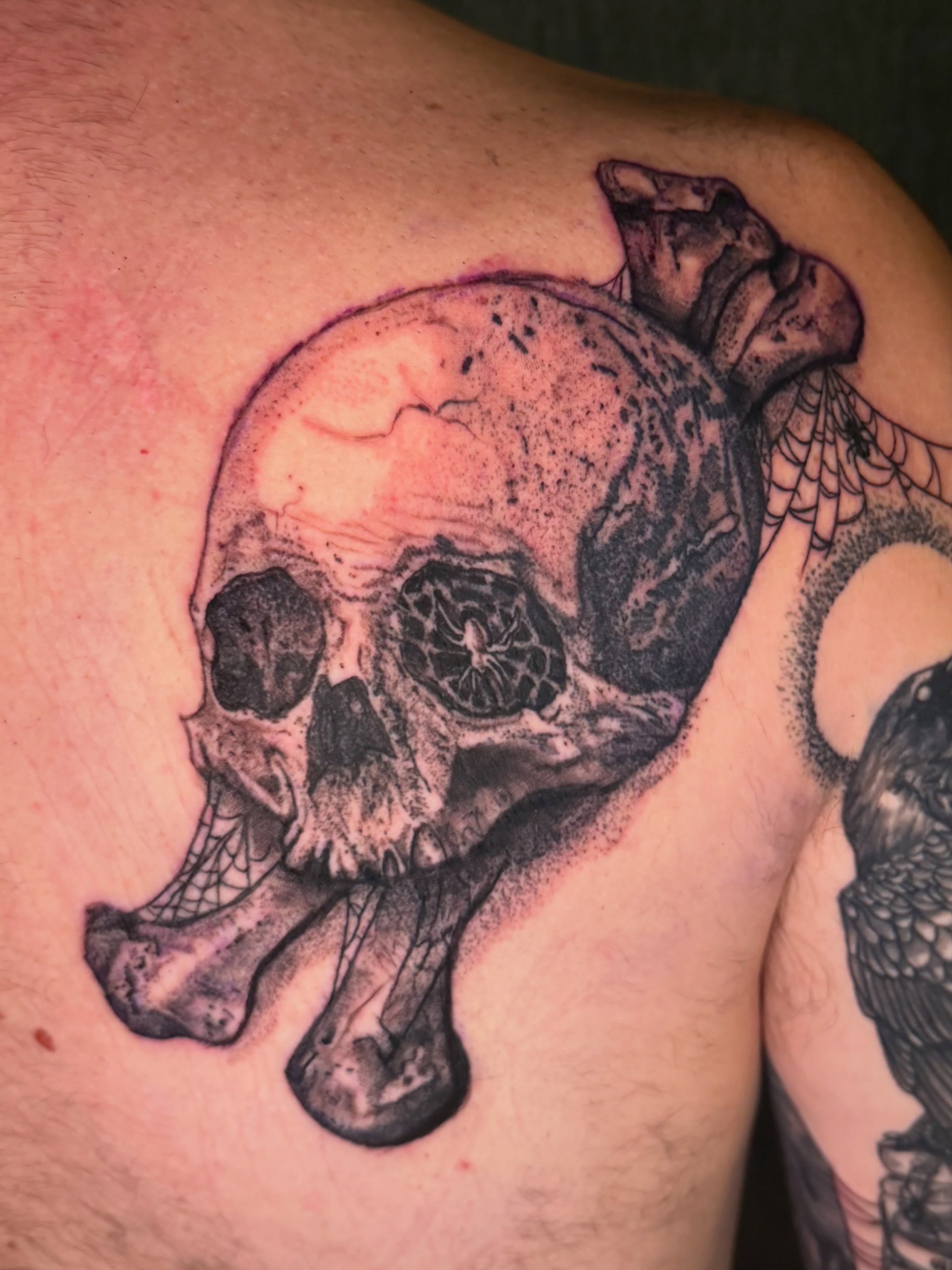 Skull realism tattoo on the shoulder by Abbie Kaitlynn Taylor, Dayton, Ohio