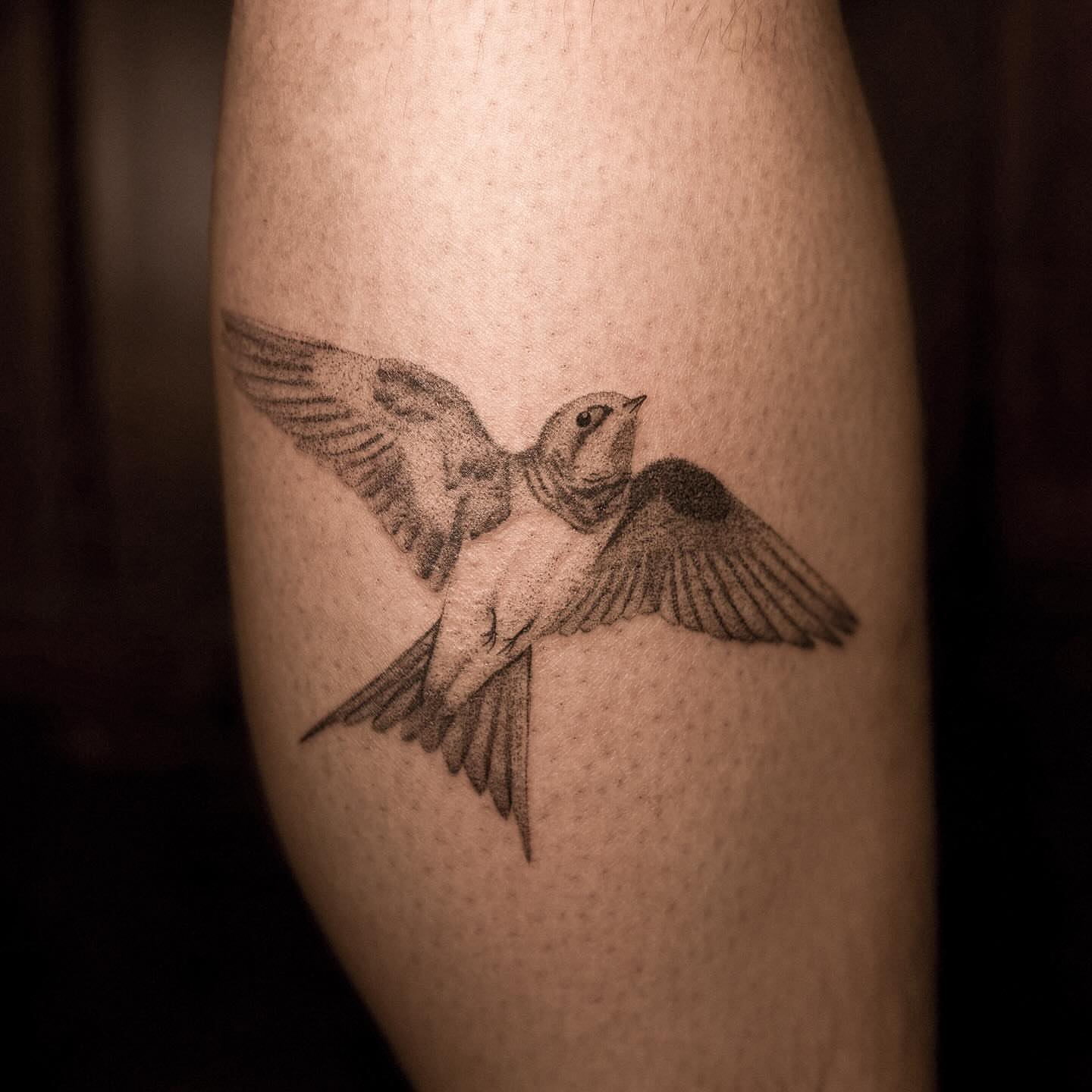 Swallow black and grey tattoo on the forearm by ๐๐, Tacoma, Washington