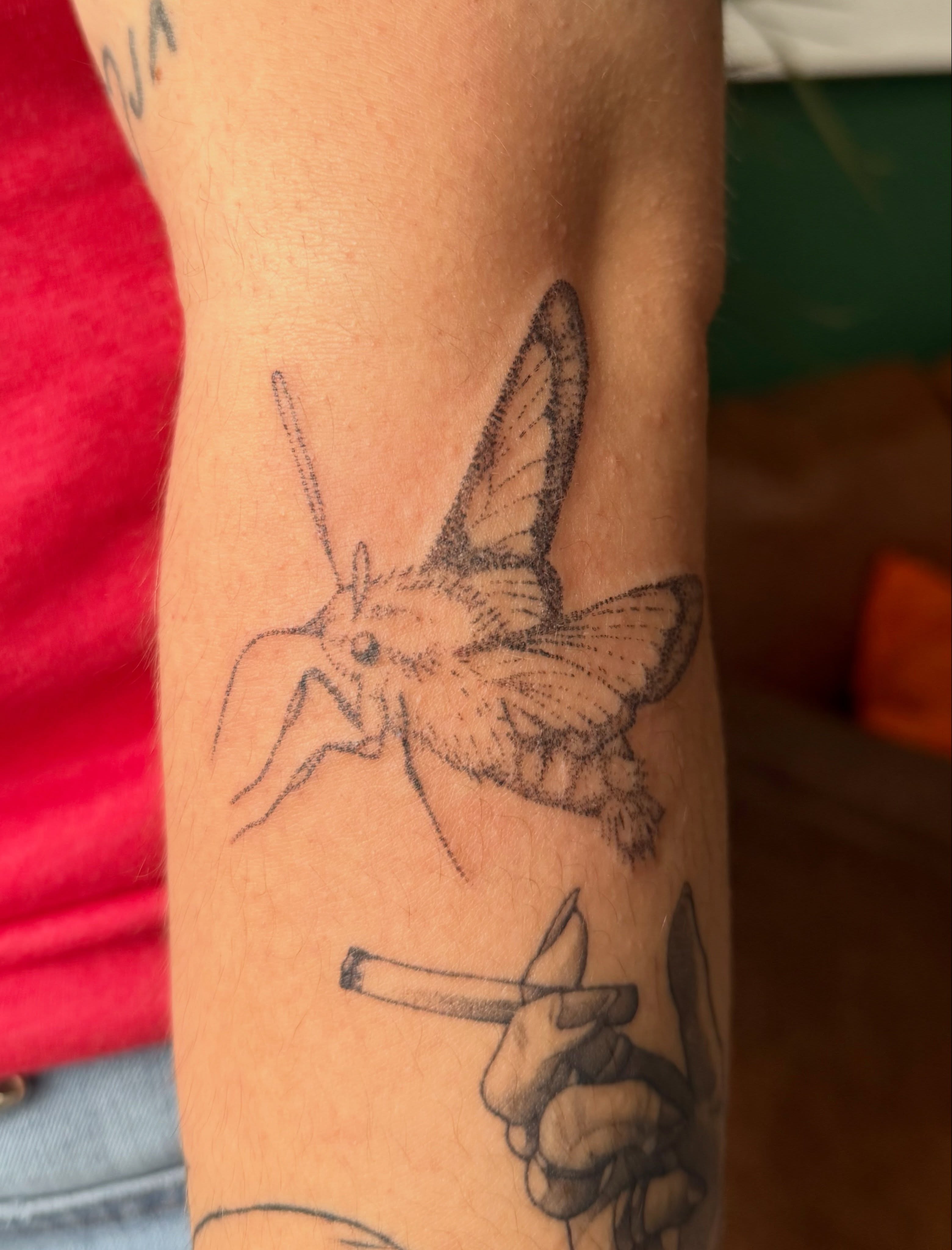 Moth dotwork tattoo on the forearm by Ashley, Elk Horn, Iowa