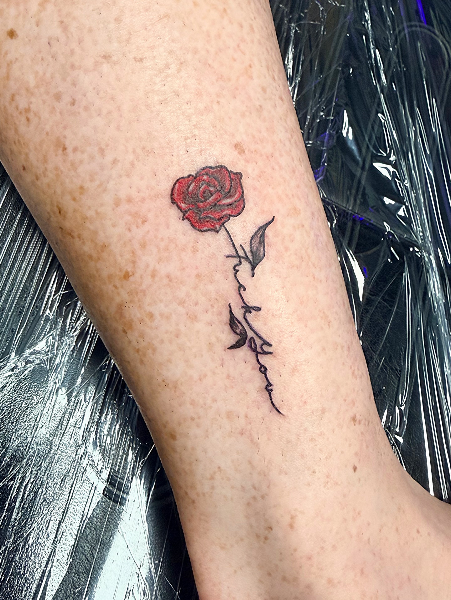 Red rose black and grey tattoo on the forearm by Stephanie Comito-Stephens