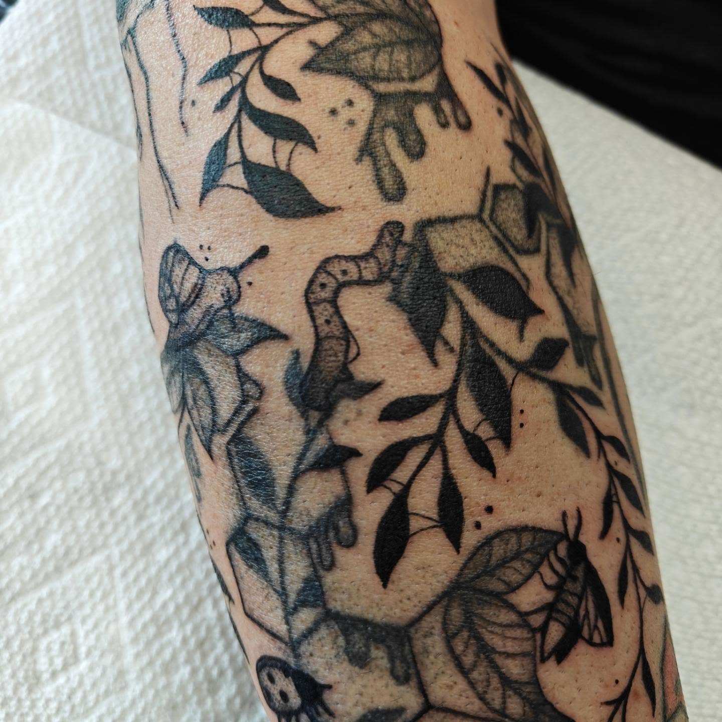 Tattoo by @eightleggedmeg — black_and_grey