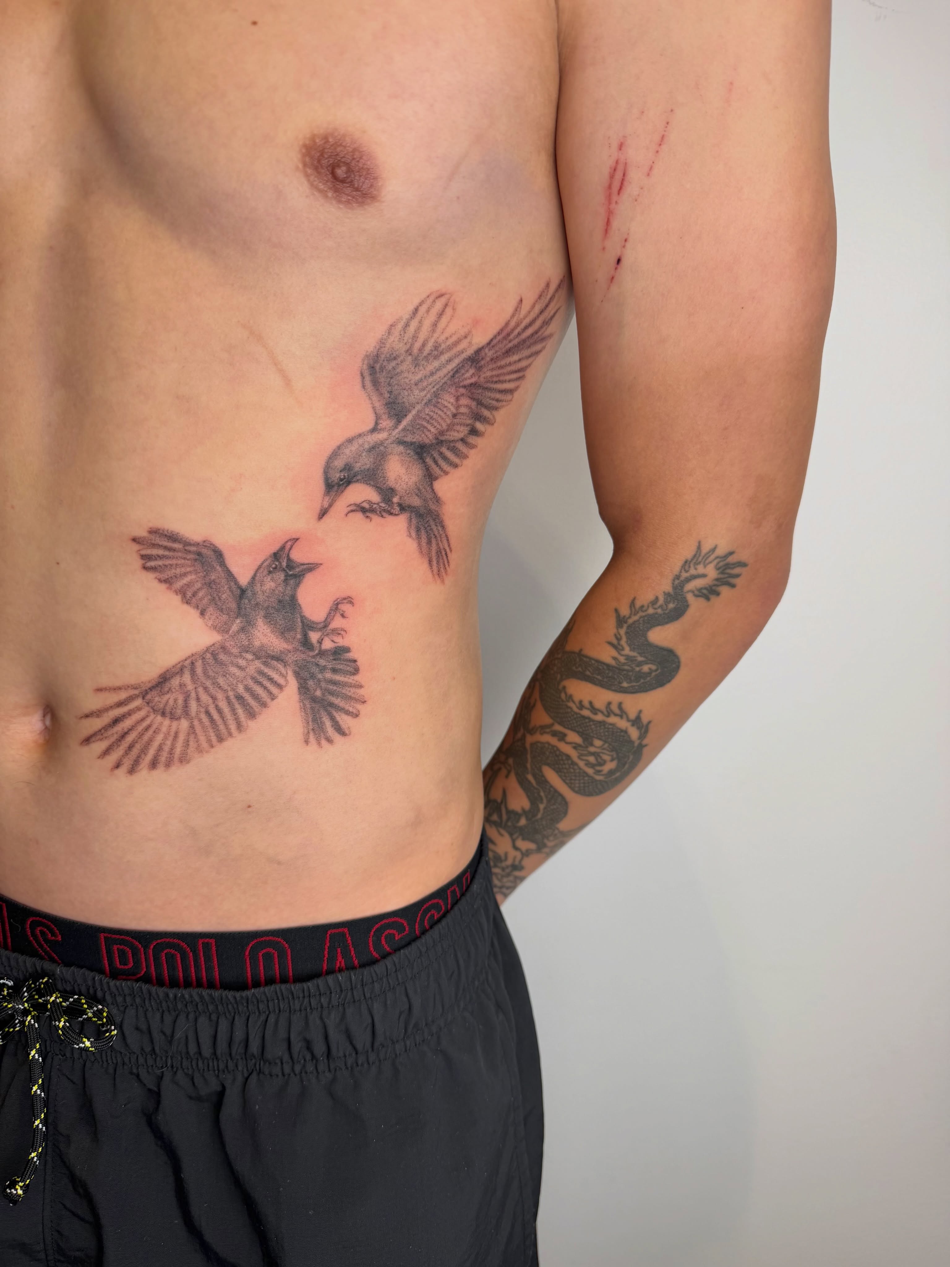 Birds black and grey tattoo on the chest by Mackenzie