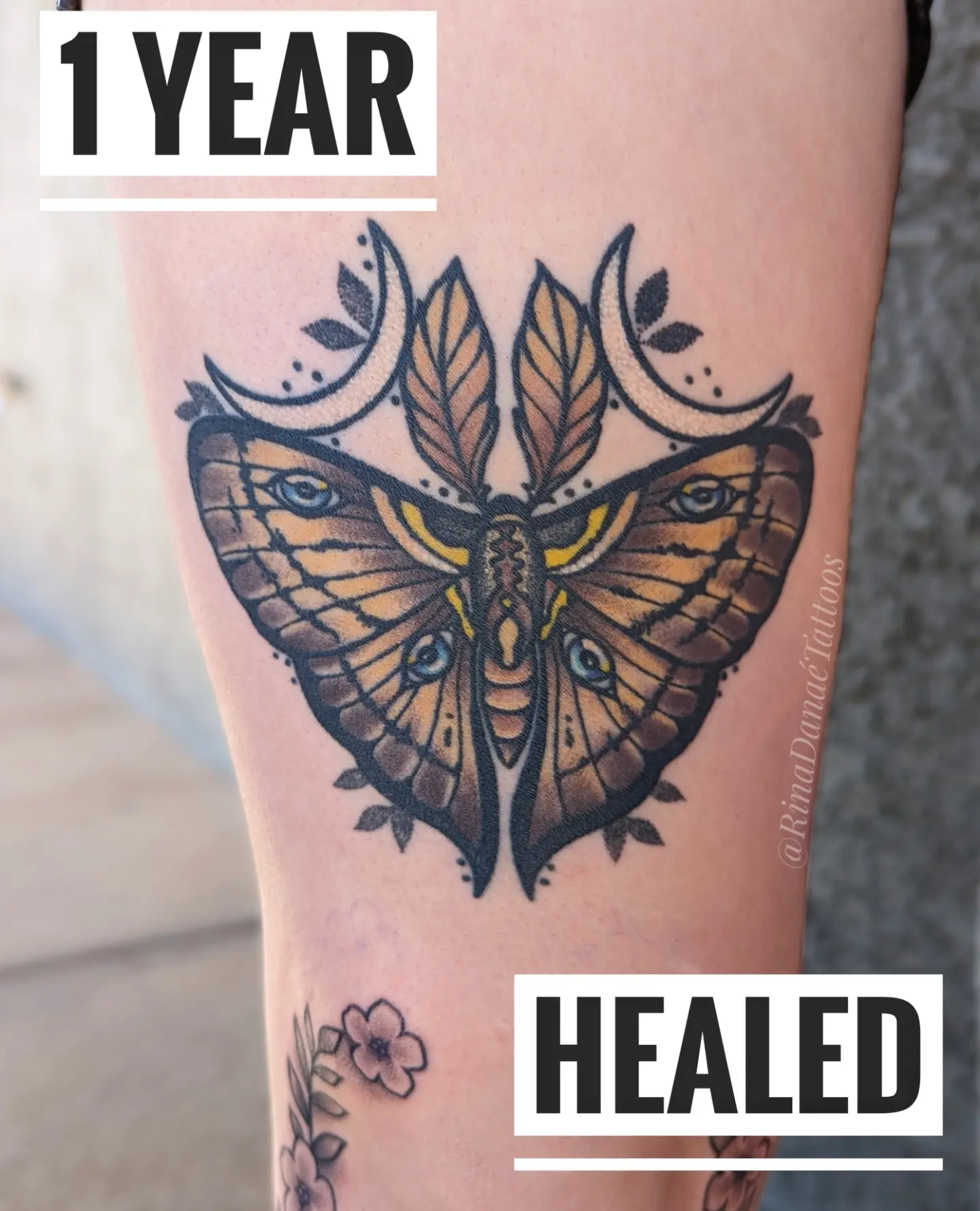 Butterfly neo-traditional tattoo on the forearm by Rina Danaé Tattoo🌿