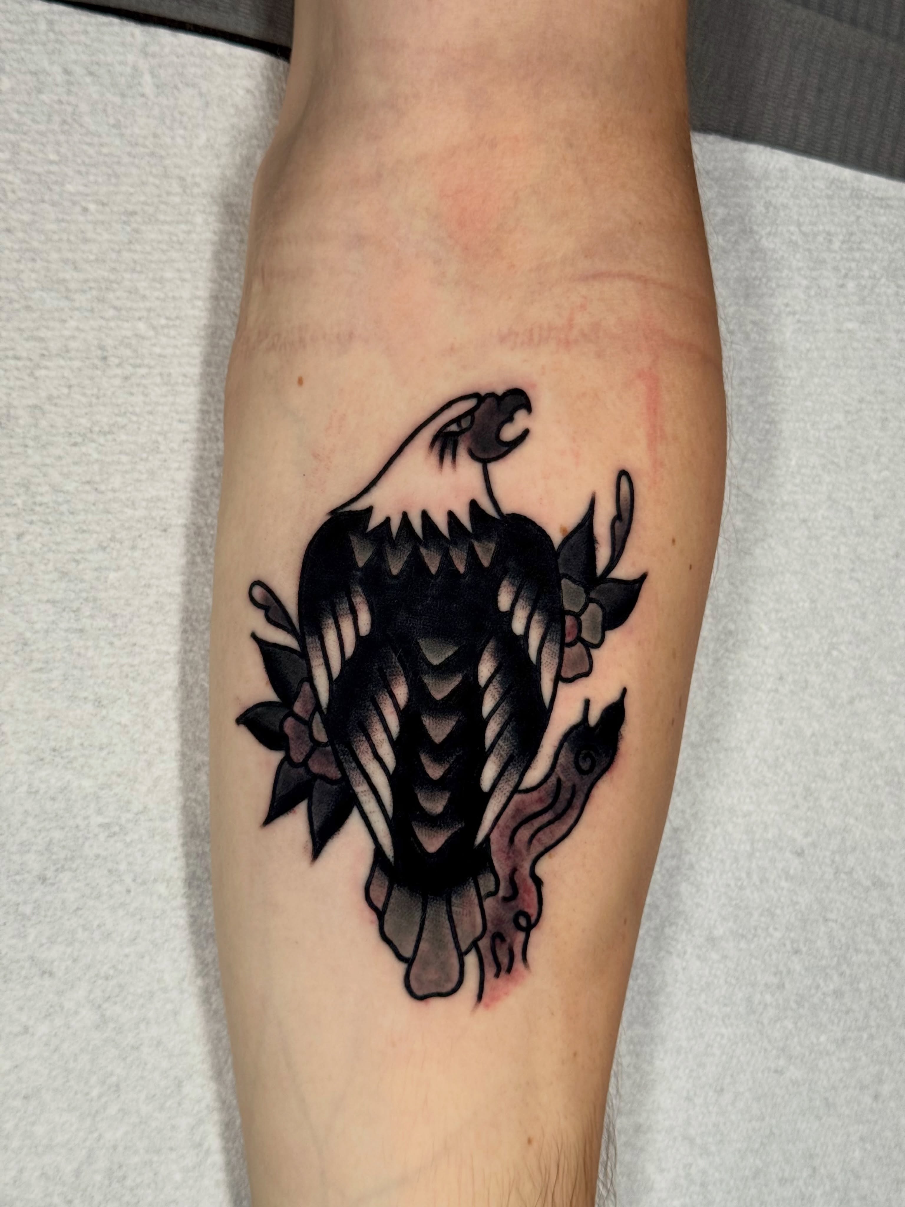 Bull head American traditional tattoo on the forearm by Joe Bear Tattooer