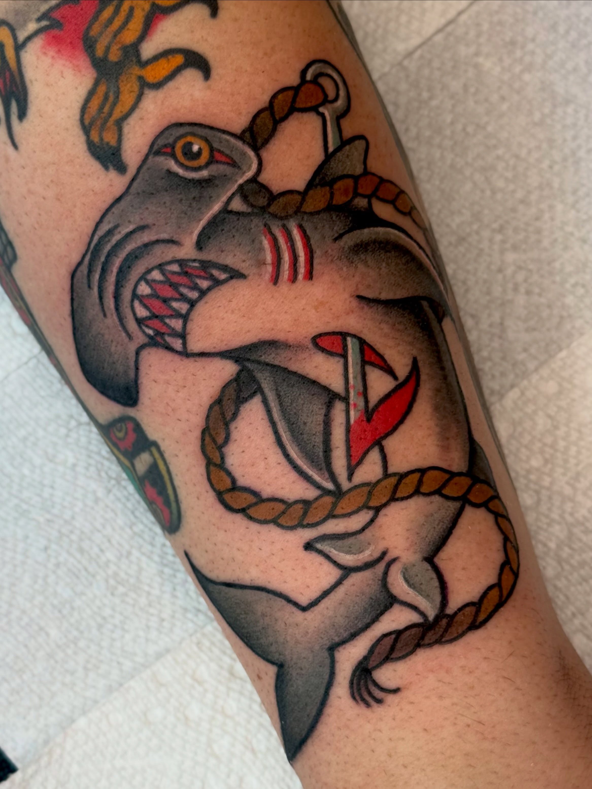 Shark and anchor American traditional tattoo on the forearm by 🪩 Marisa Rae Mathews 🪩, McKees Rocks, Pennsylvania
