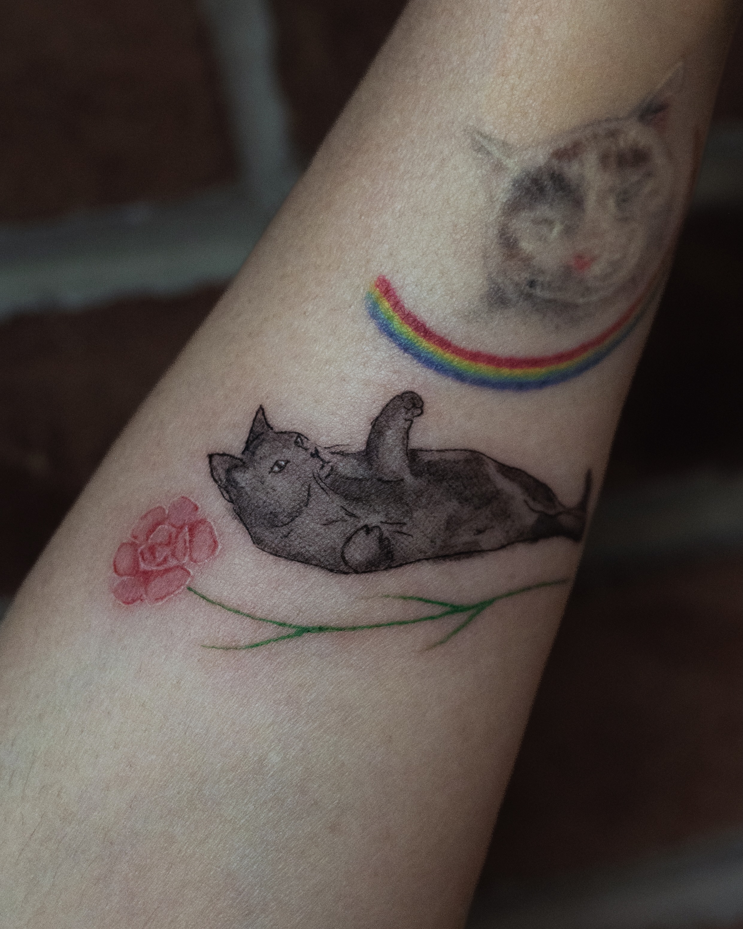 Cat and rainbow realism tattoo on the forearm by Ash - Fineline Tattoo Apprentice
