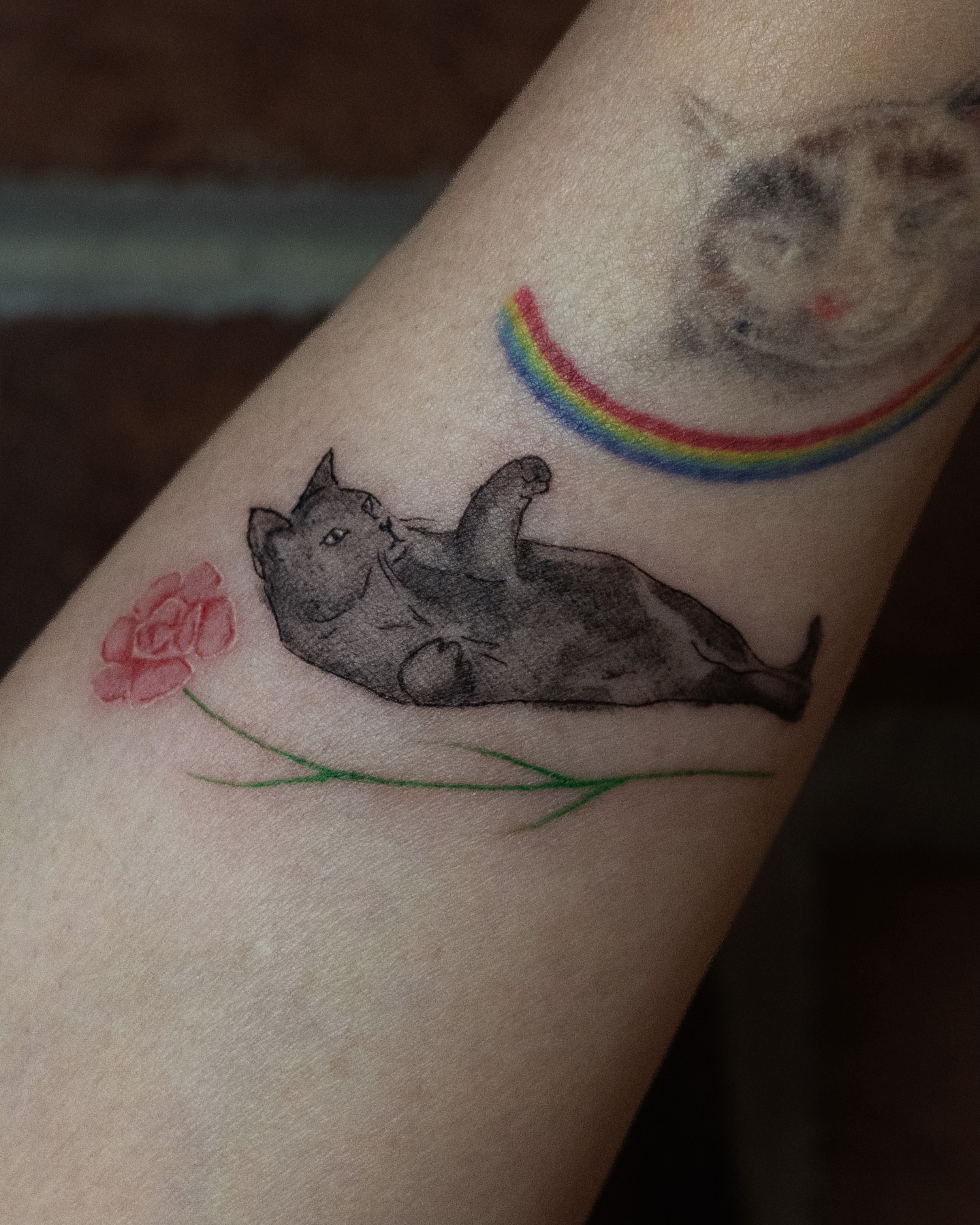 Cat and rainbow black and grey tattoo on the forearm by Ash - Fineline Tattoo Apprentice
