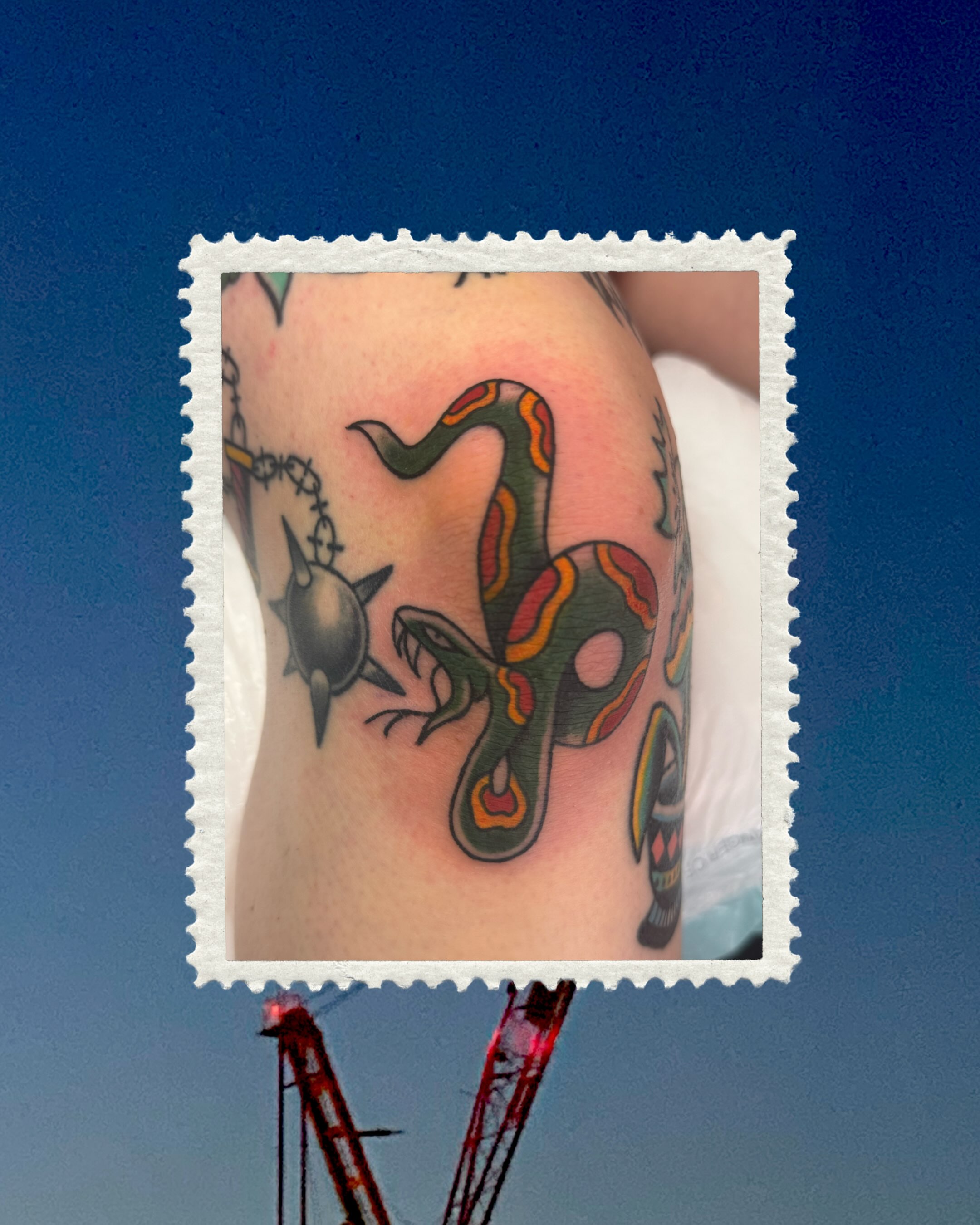 Snake American traditional tattoo on the forearm by Shelby