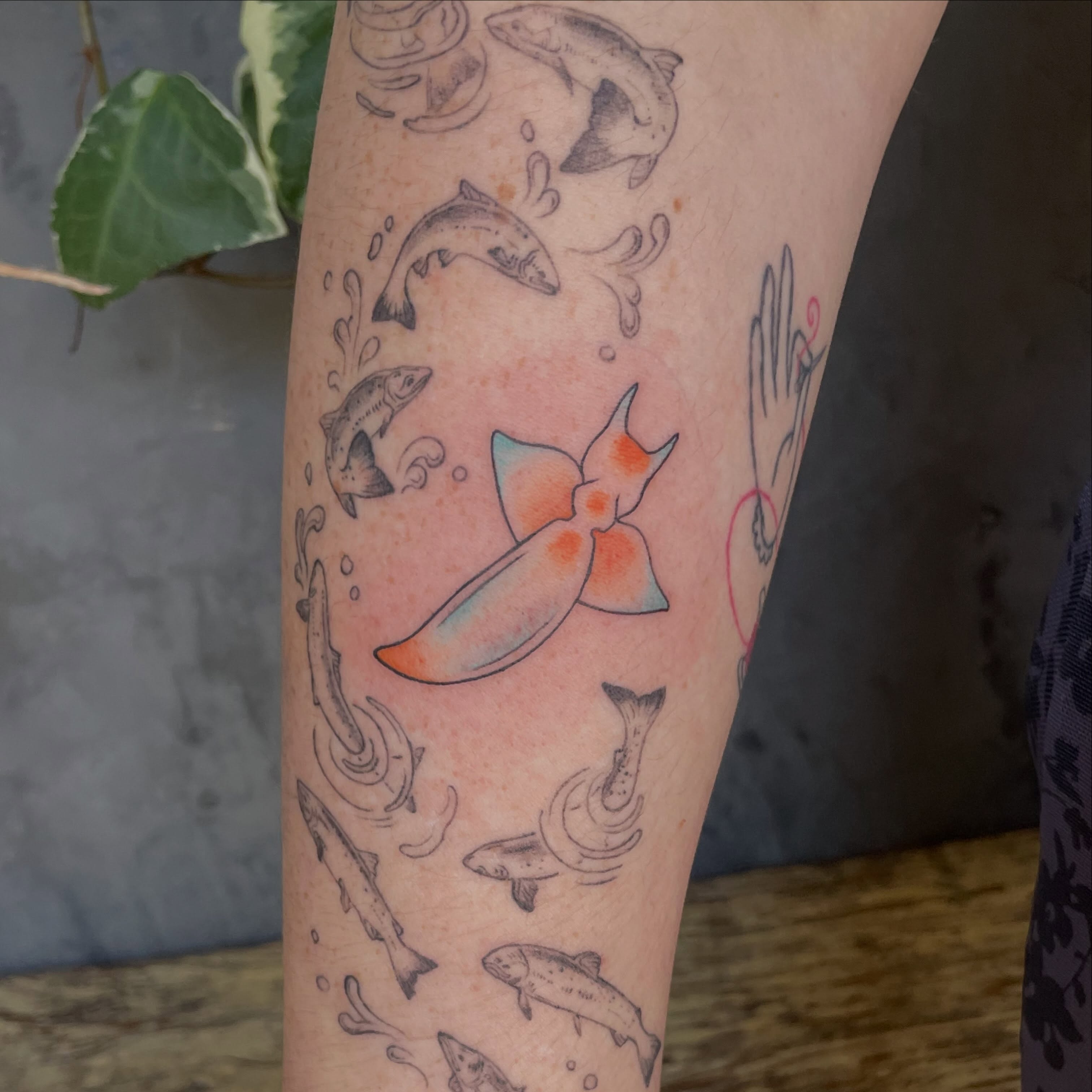Fish and bow new school tattoo on the forearm by Ally Easter, Berkeley, California
