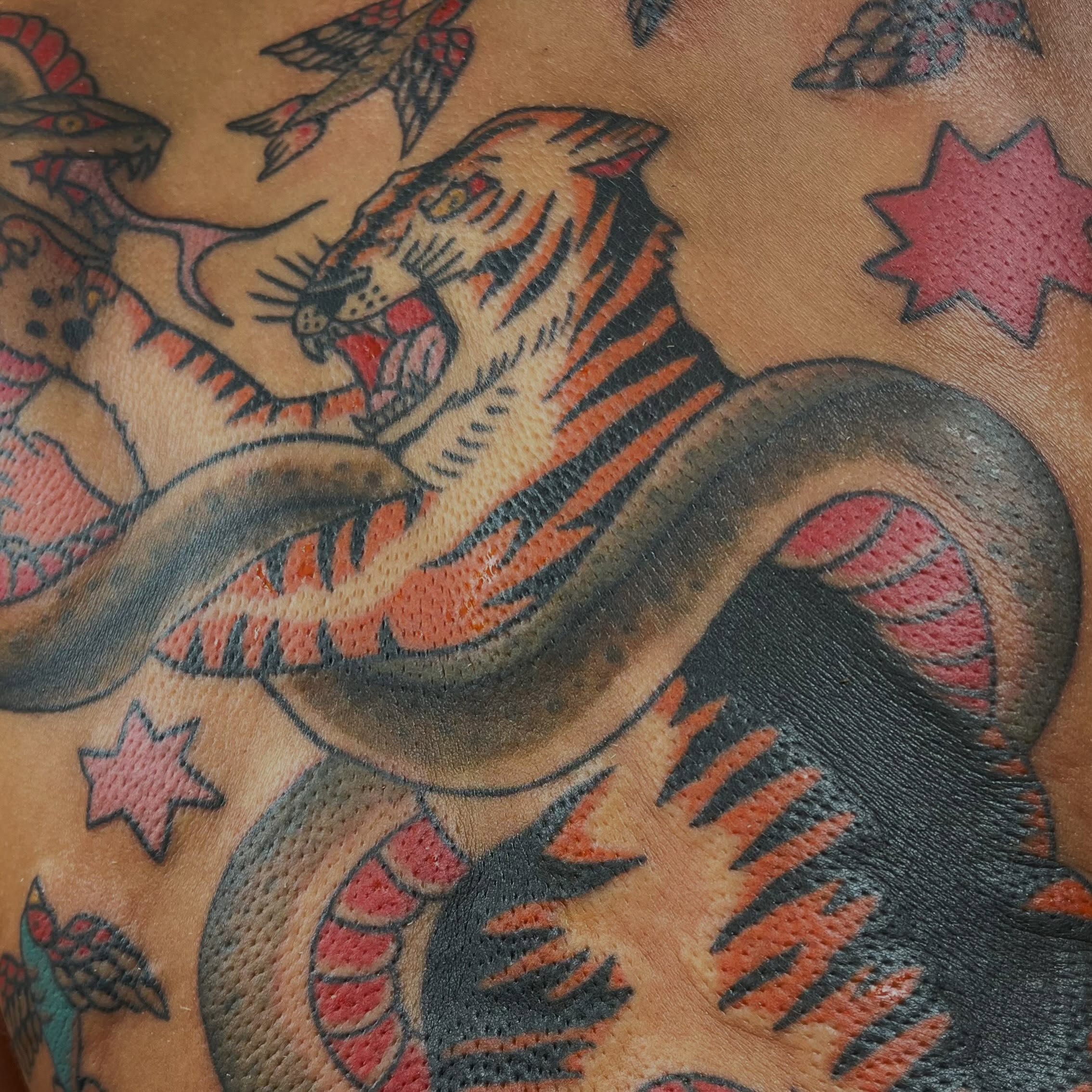 Tiger American traditional tattoo on the upper arm by Jennifer Medrano
