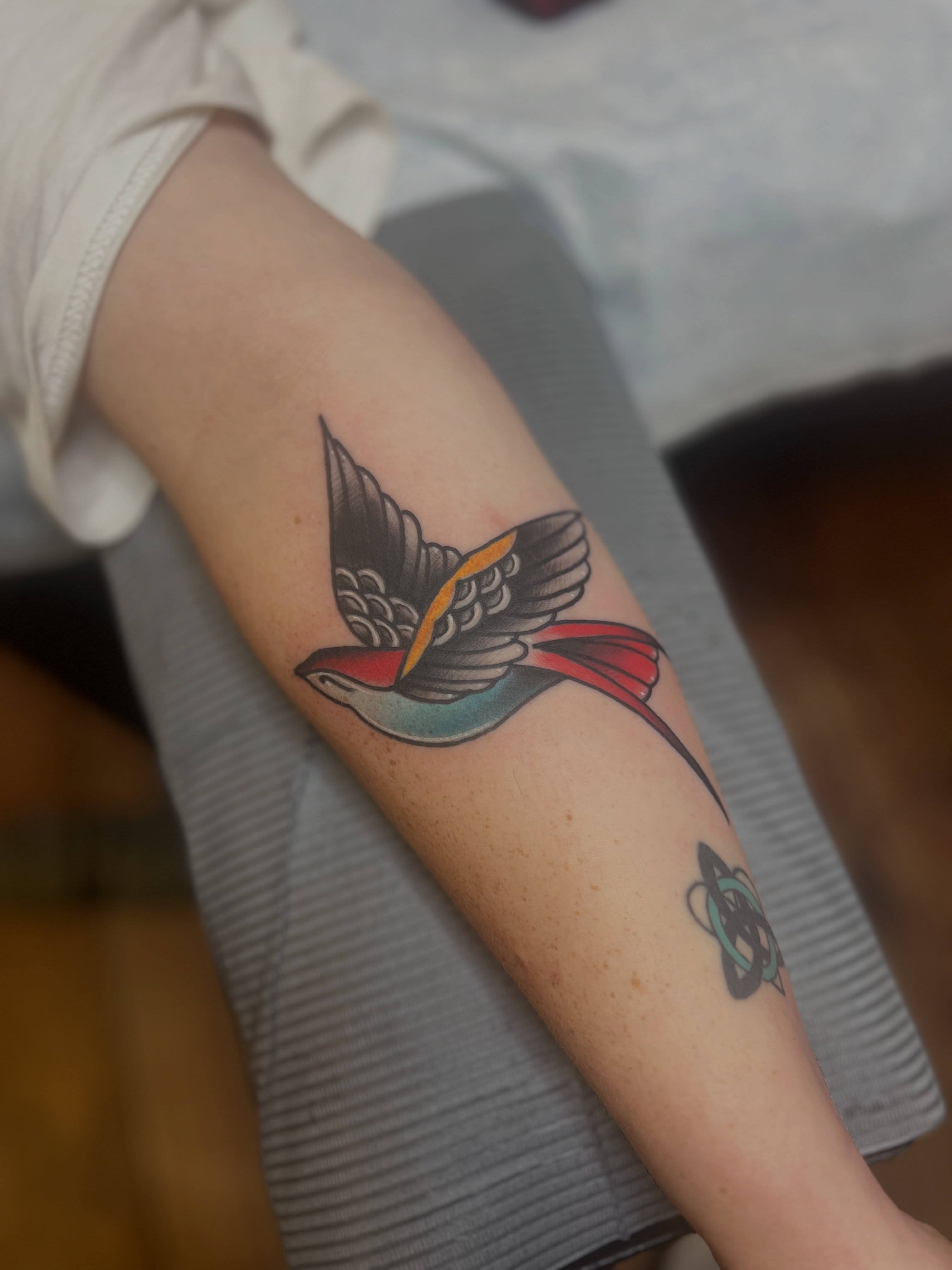 Bird American traditional tattoo on the forearm by Fizzy Jizzles, Worcester, England