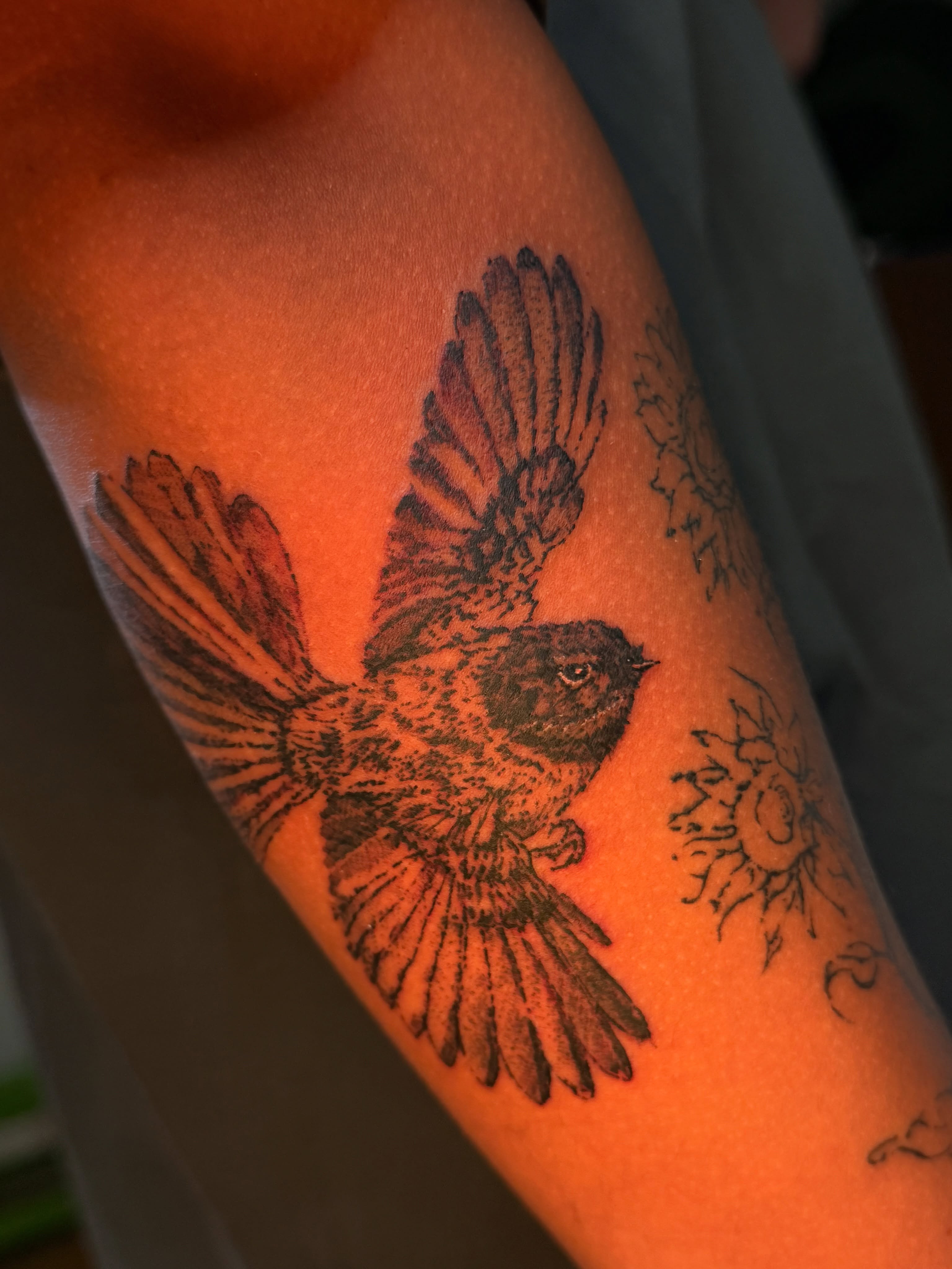 Bird black and grey tattoo on the forearm by Babymaxy Inks Llc