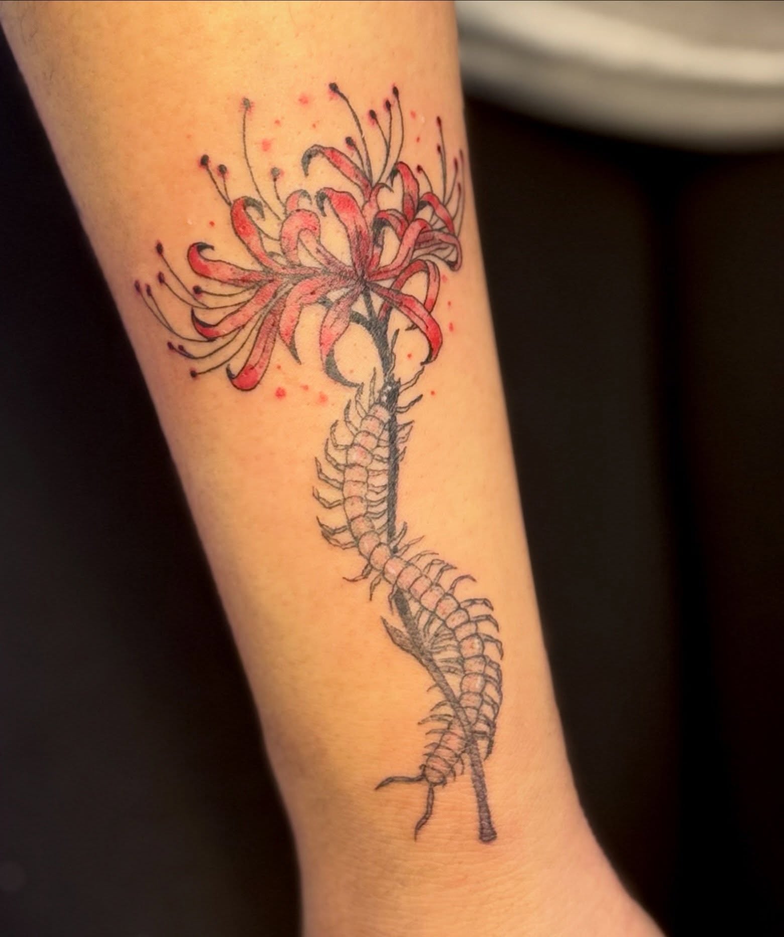 Lily and centipede dotwork tattoo on the forearm by eli (eh-lee)